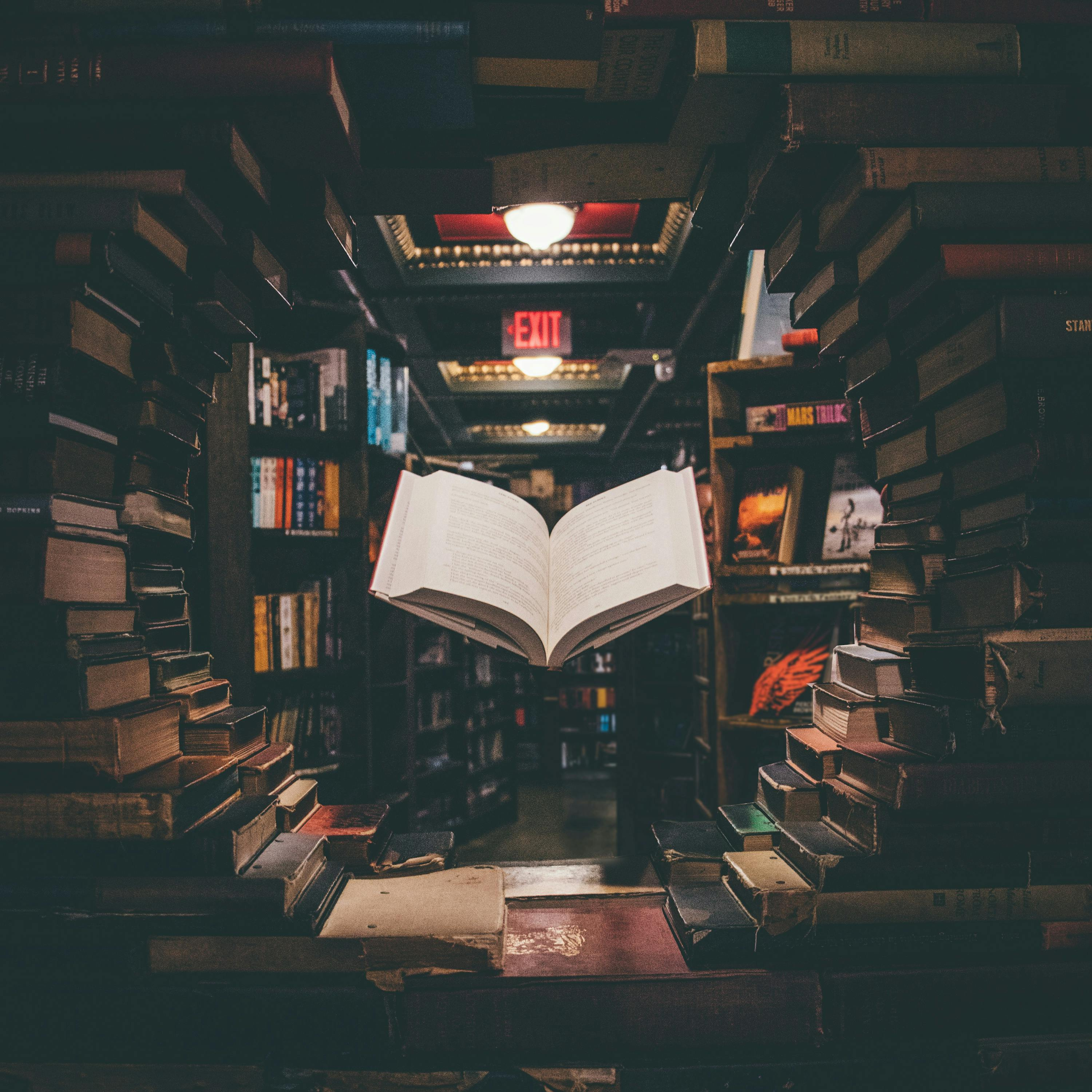 Bonus Book Club Episode: We Solve Murders