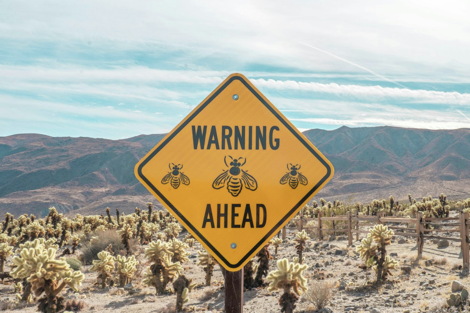Ep. 410: What The Hell Is Substack & Project Warning Signs