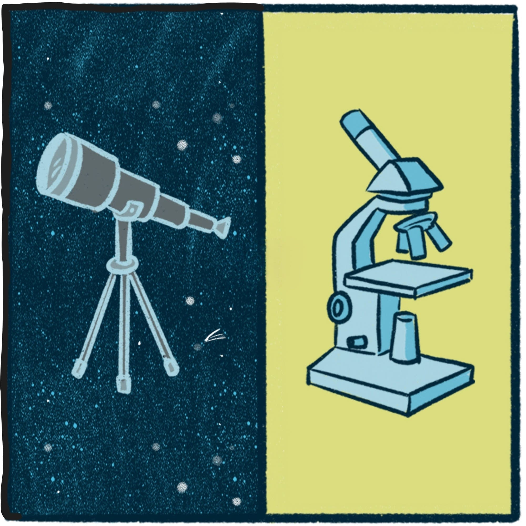 Telescope vs. Microscope: a focused debate