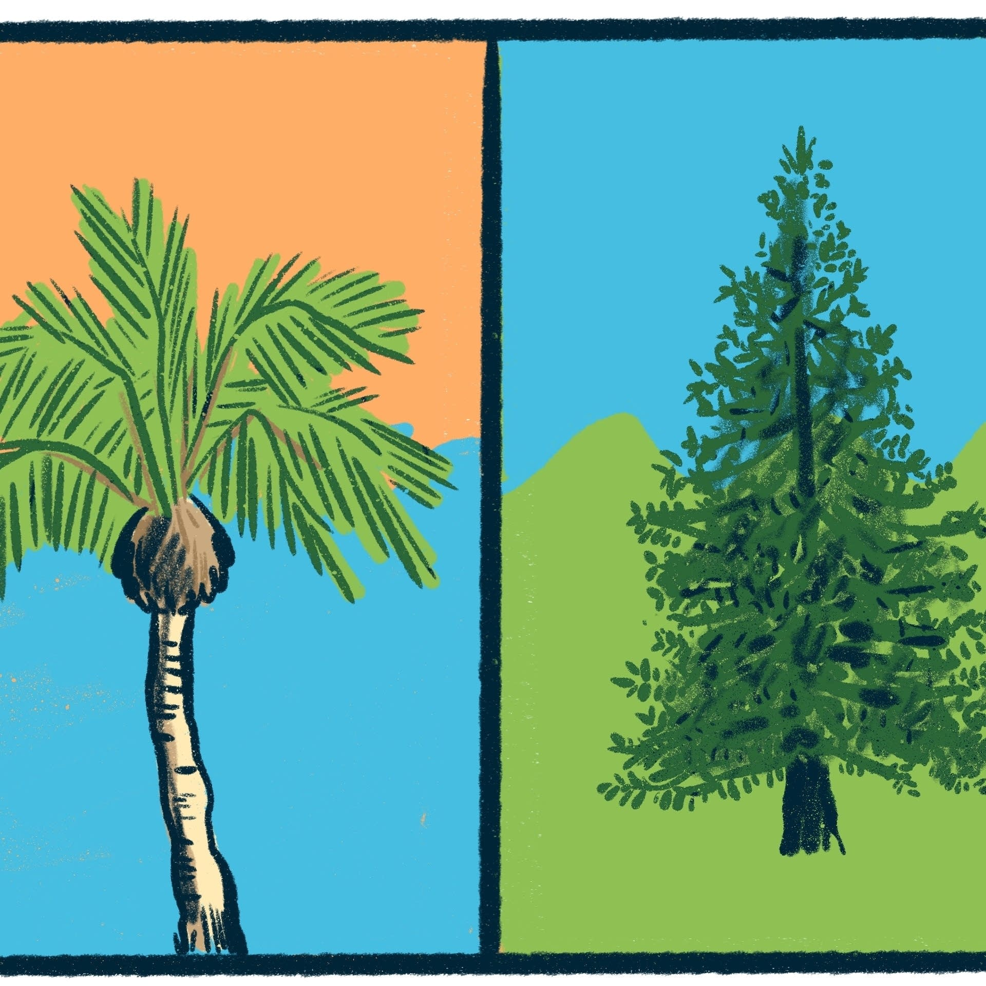 Palm Trees vs. Pine Trees: a tree-mendous debate