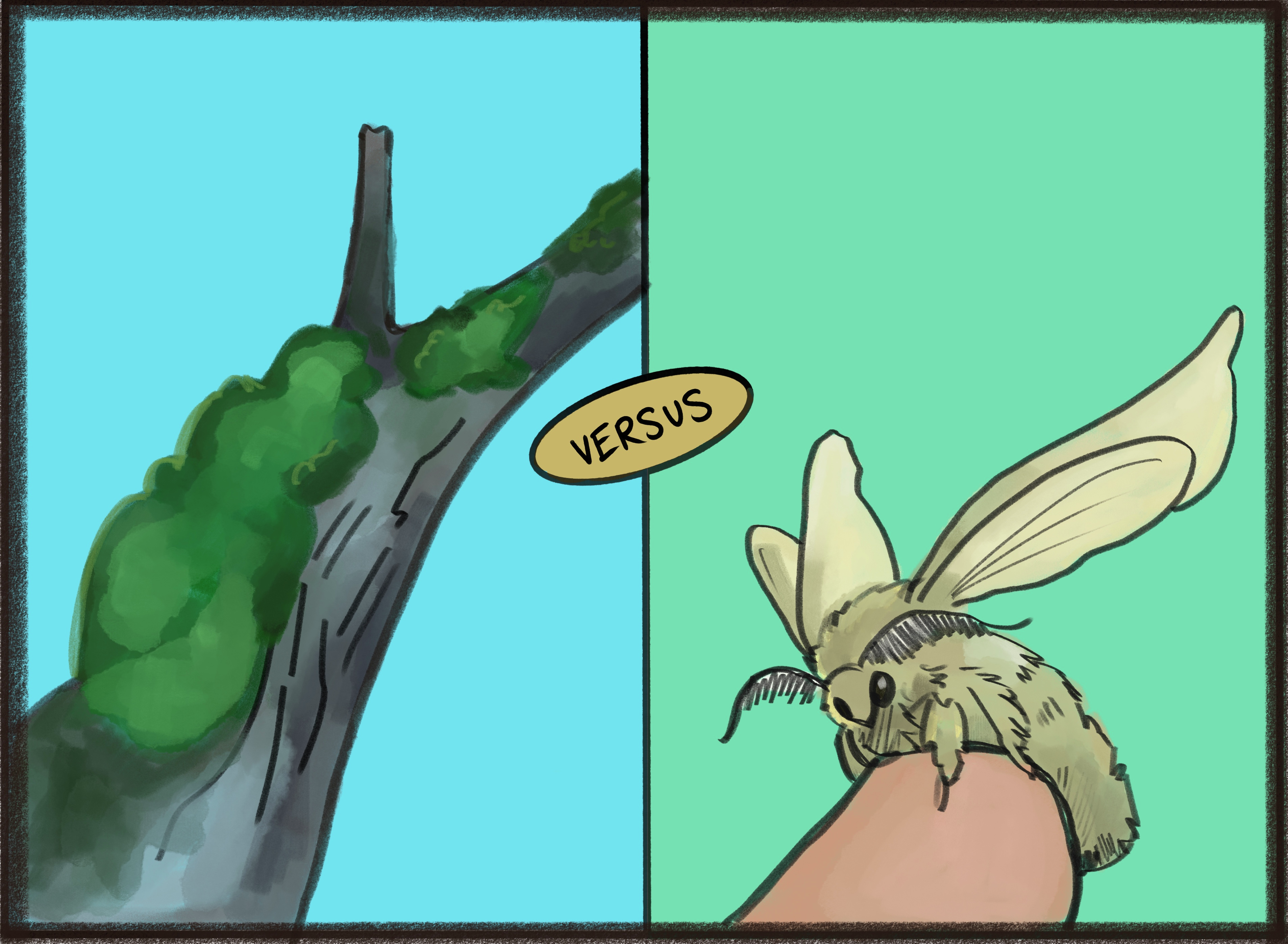 Moss vs. Moths