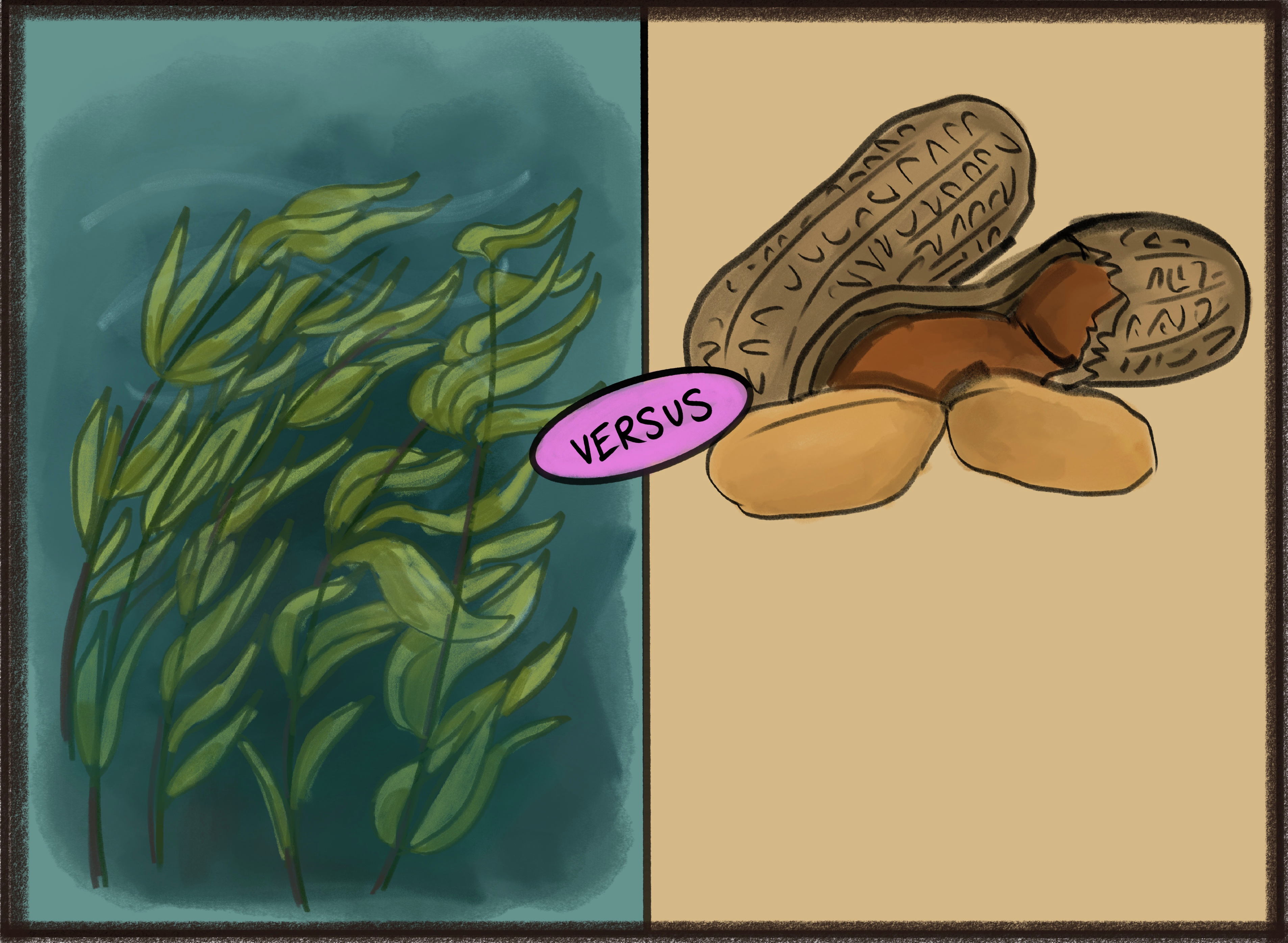 Seaweed vs Peanuts