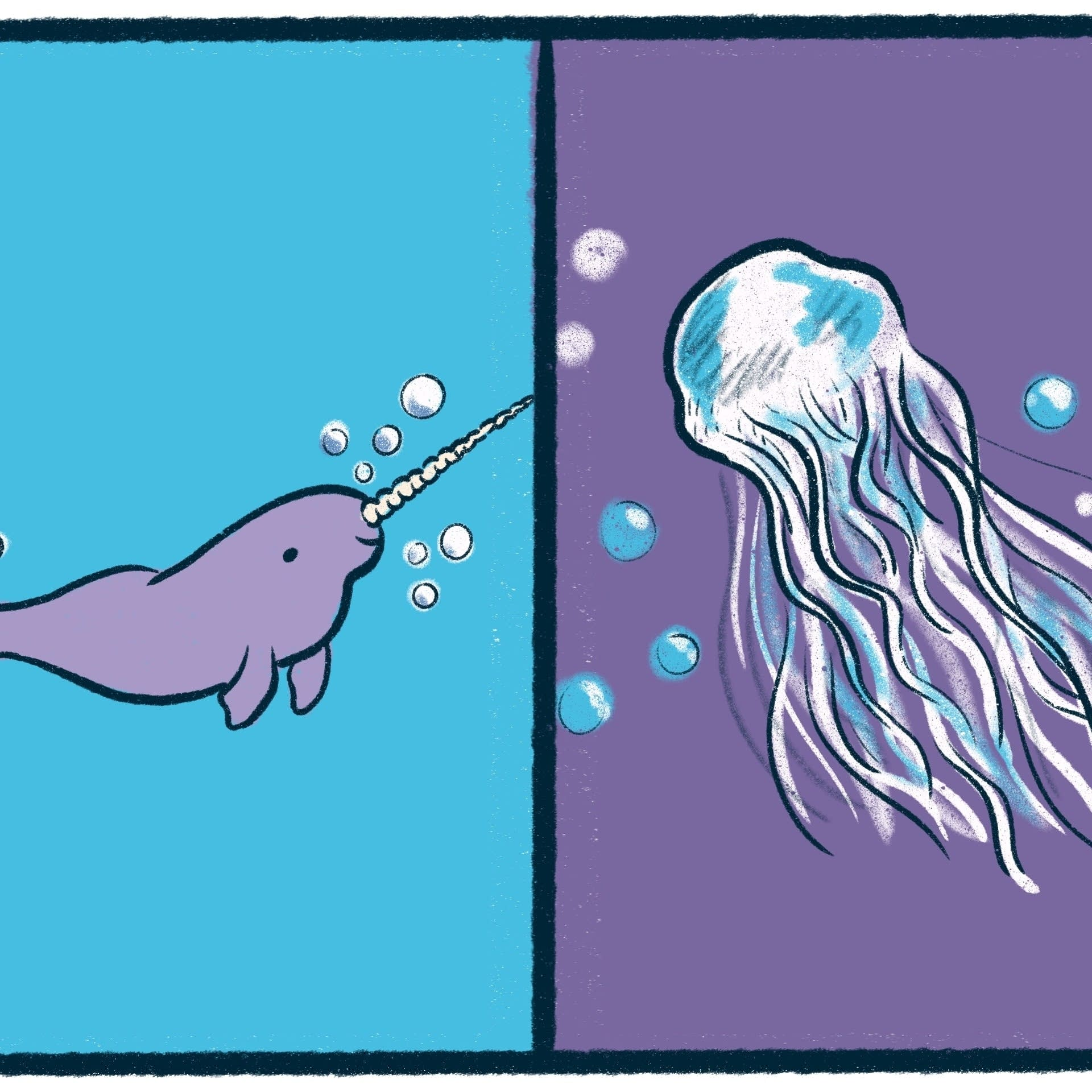 Narwhals vs. Jellyfish: A marine debate