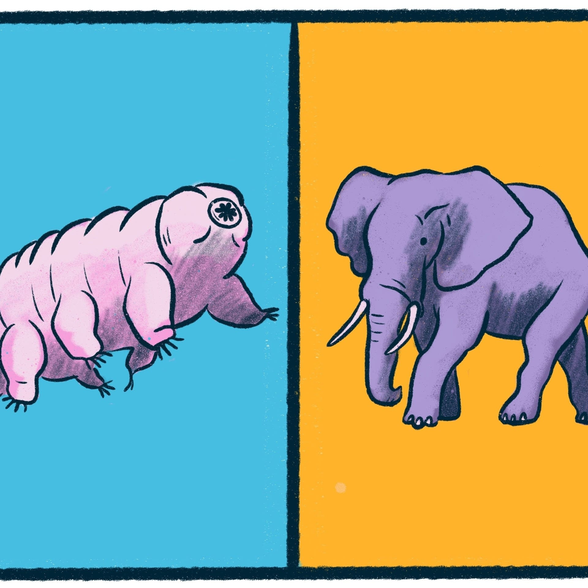 Tardigrades vs. Elephants