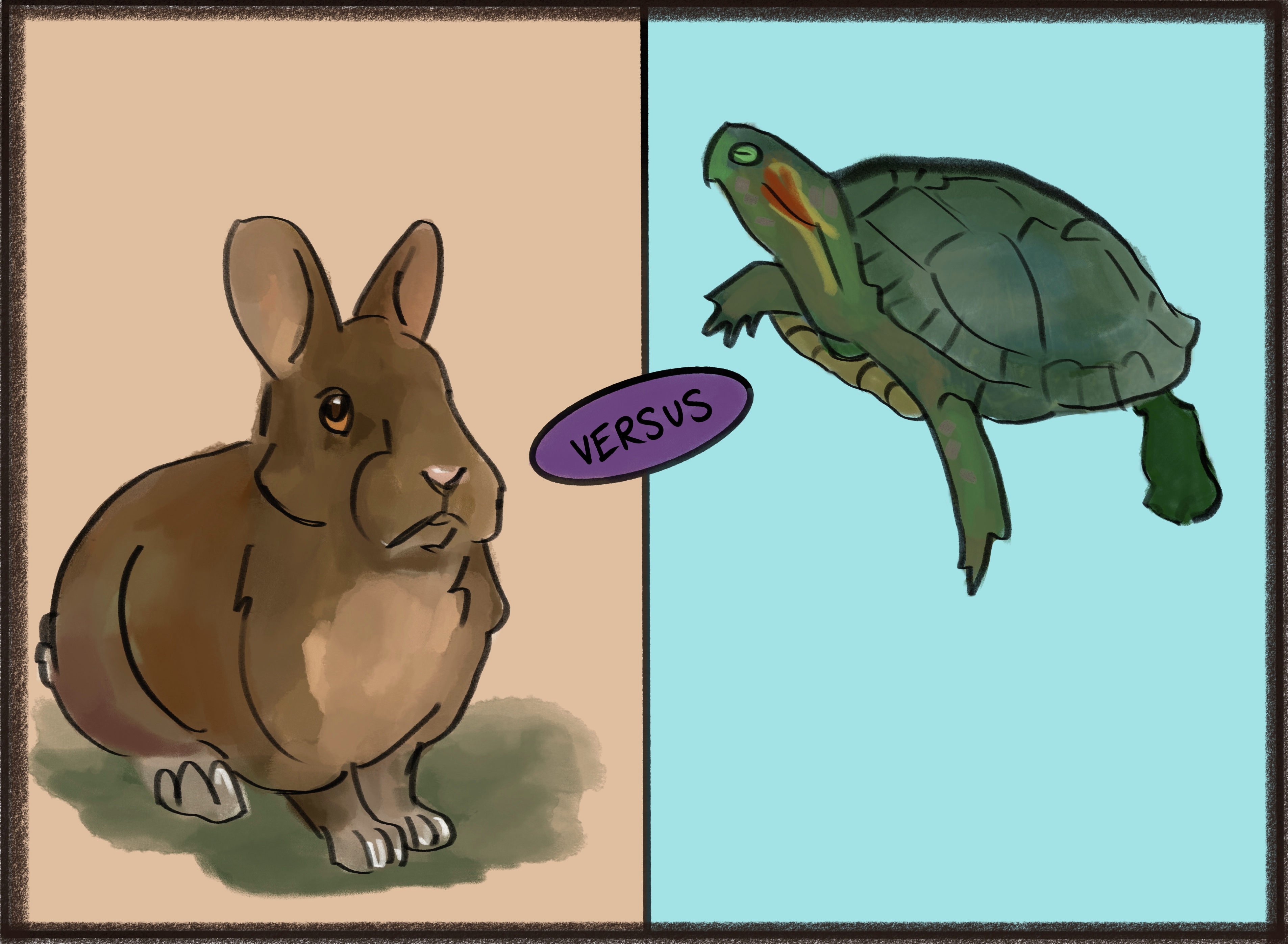 Turtles vs Rabbits