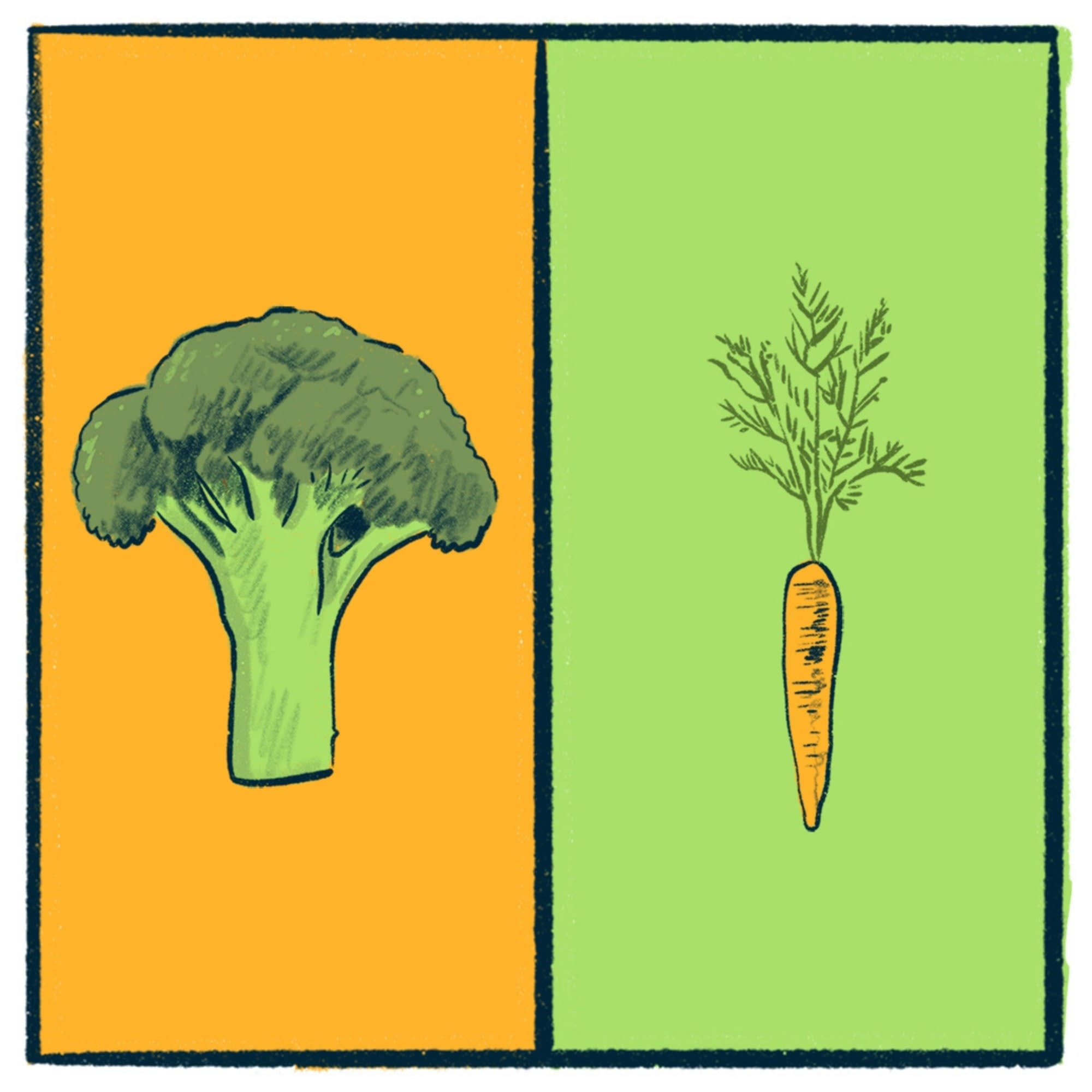 Broccoli vs. Carrots: a veggie debate