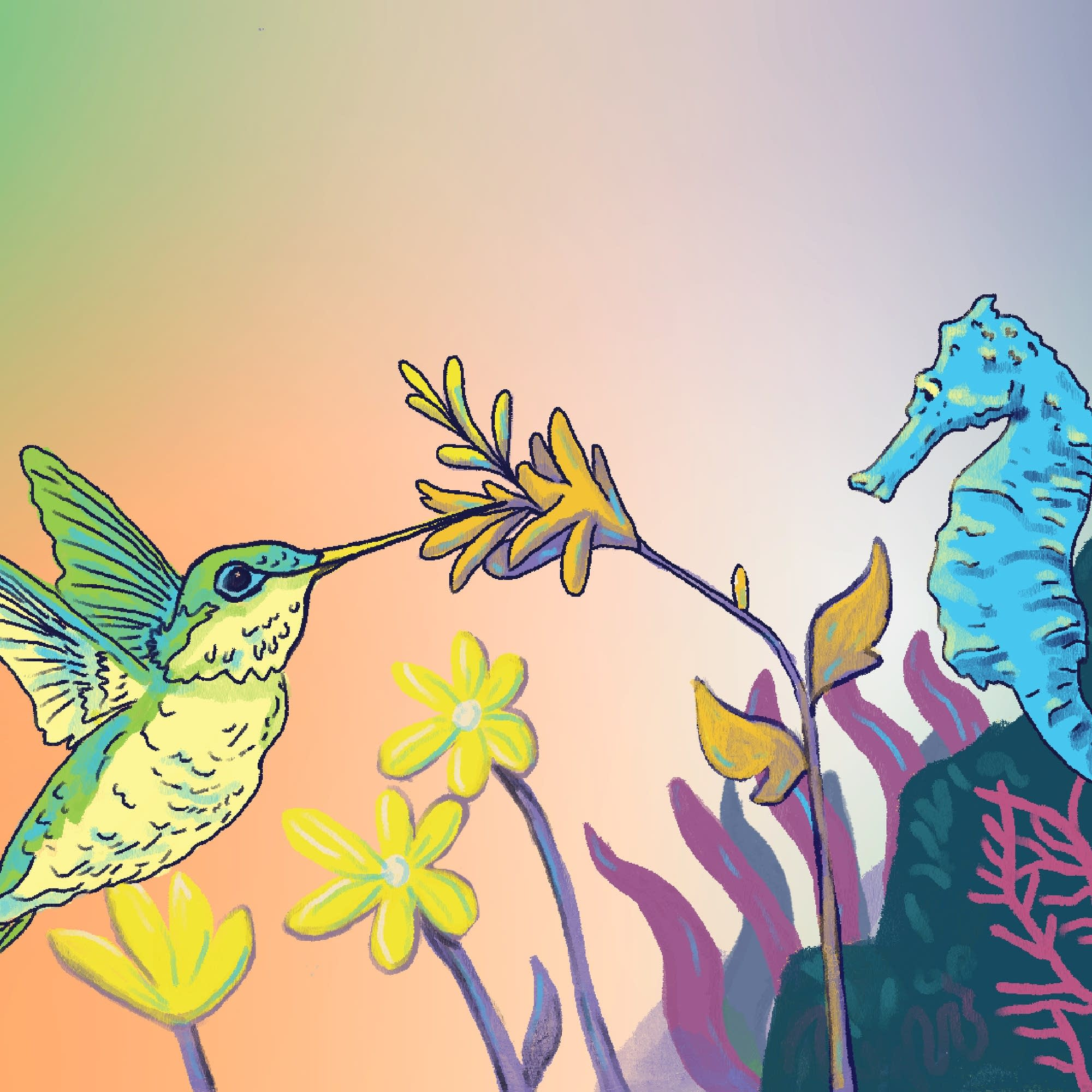 Hummingbirds vs. Seahorses