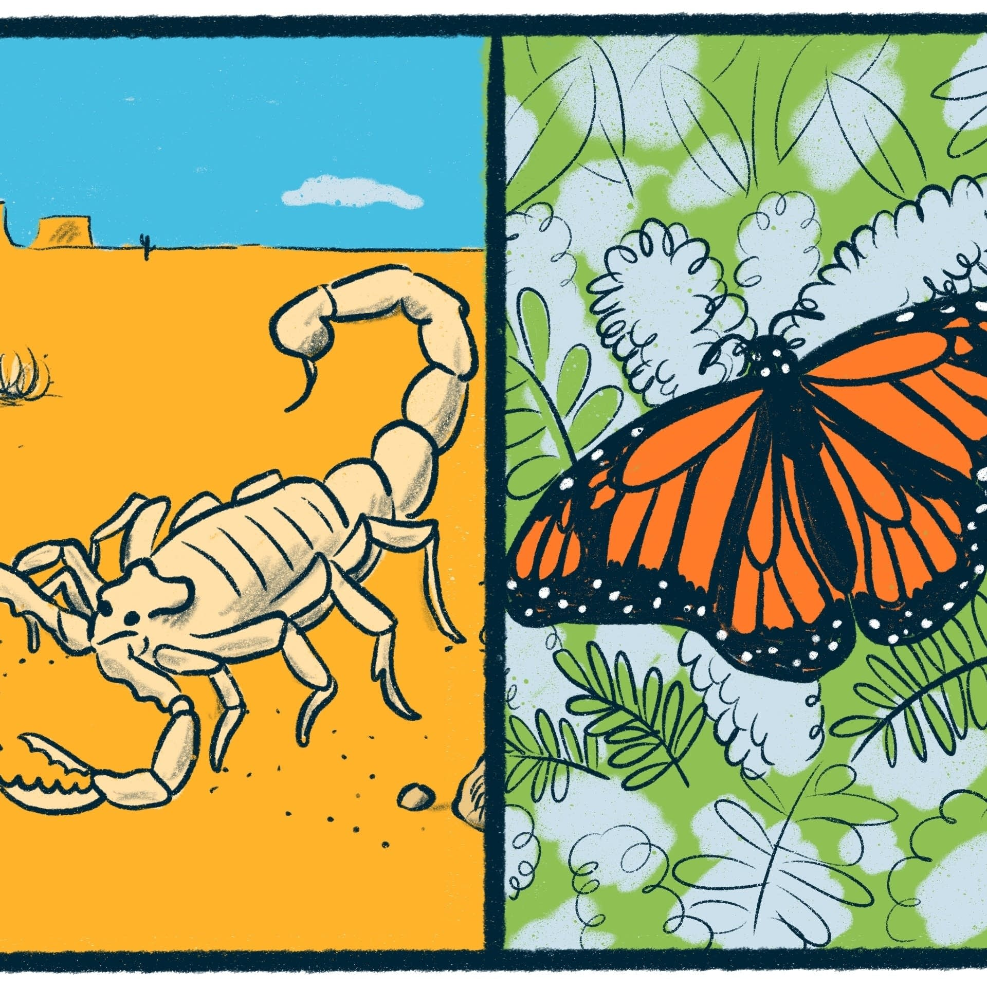 Scorpions vs. Butterflies: a critter debate