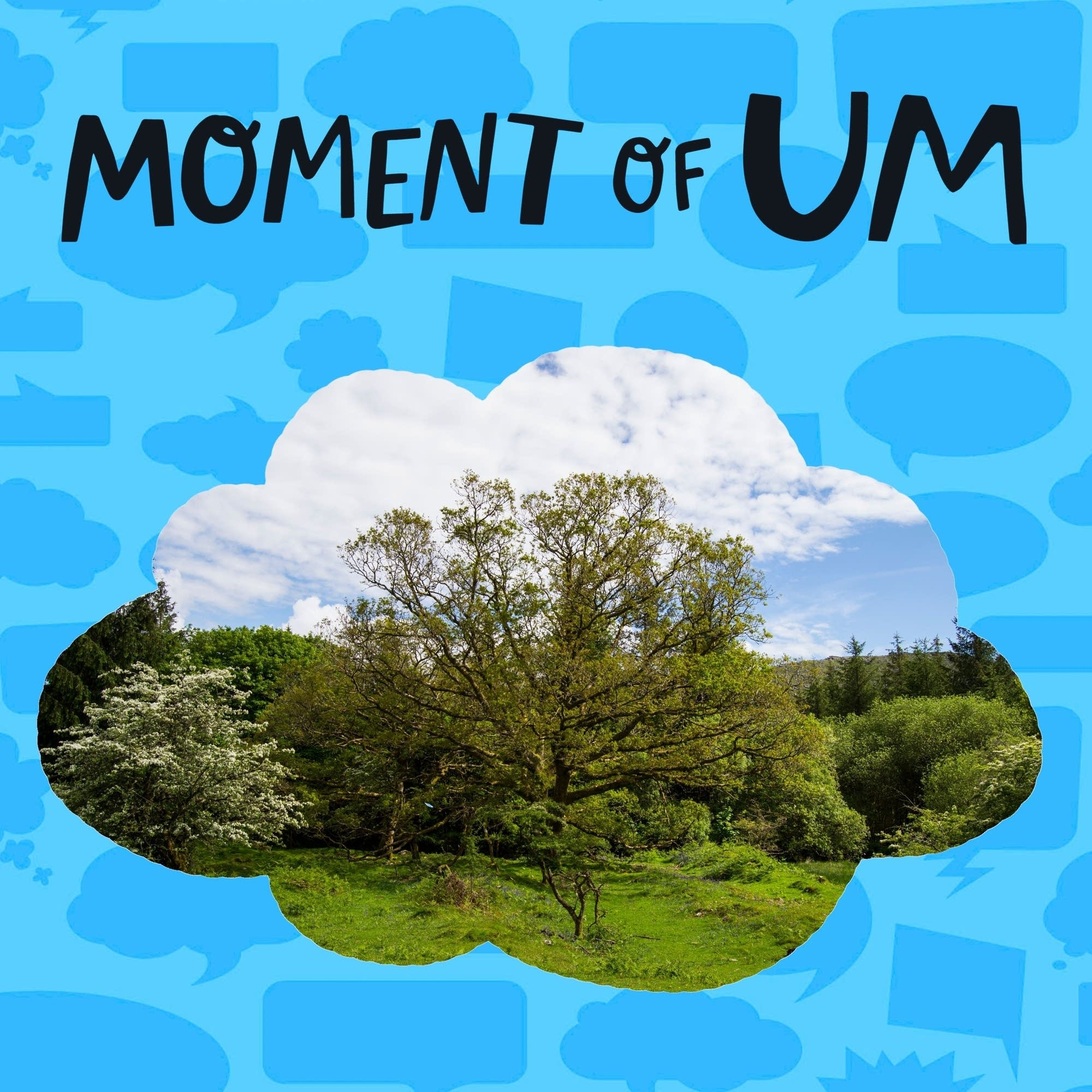 Why do some trees grow taller than others?