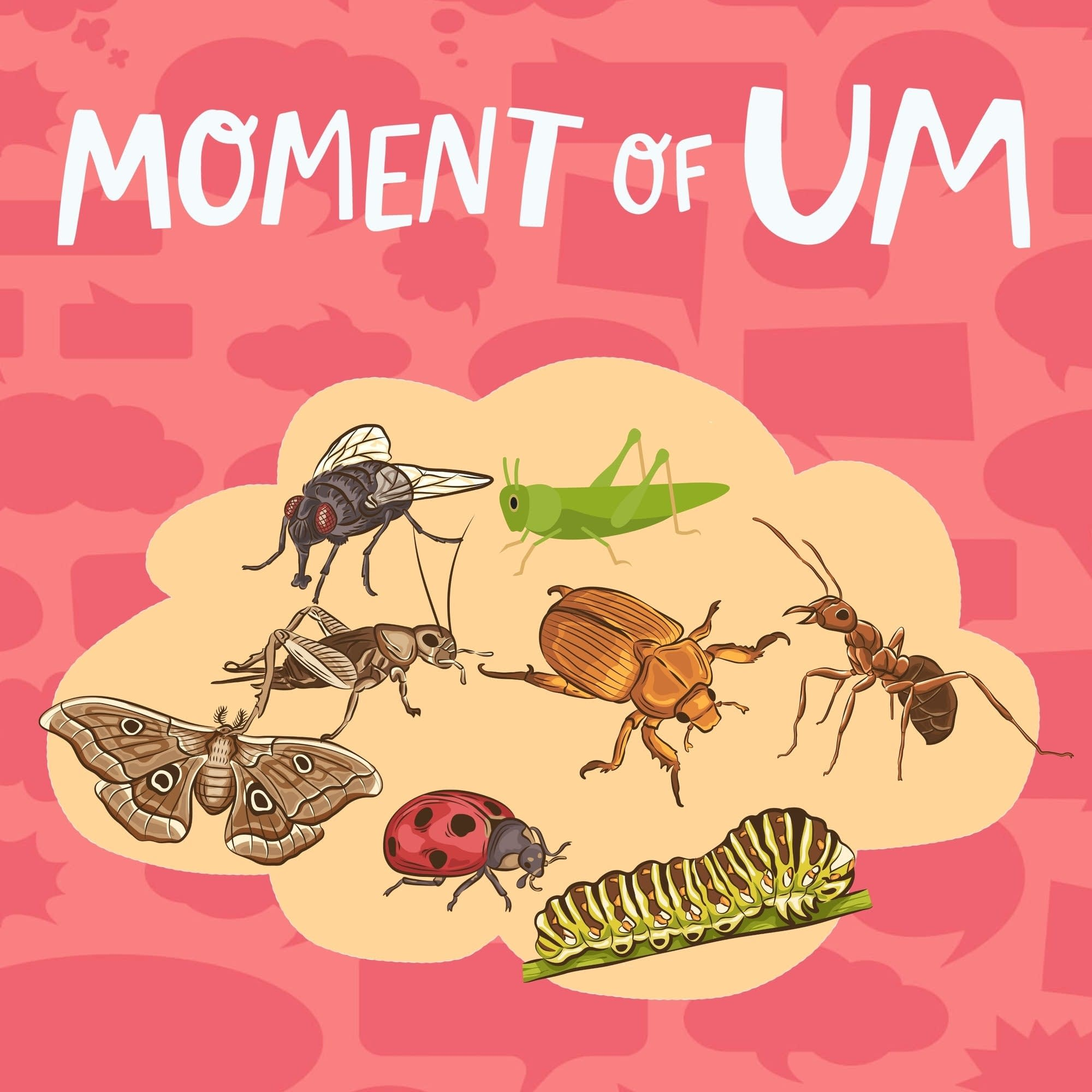 Do insects have ears?