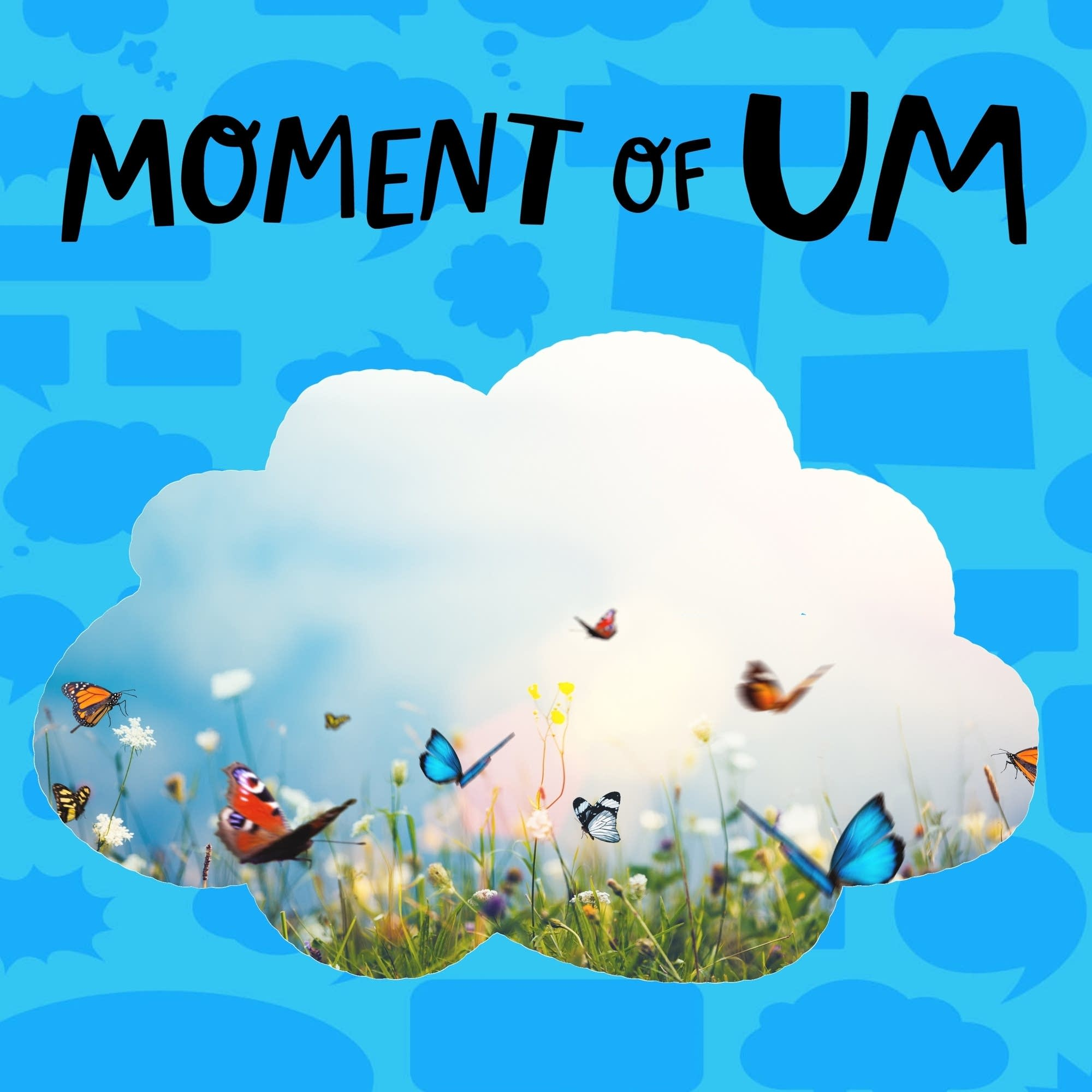 How do butterflies get their designs?