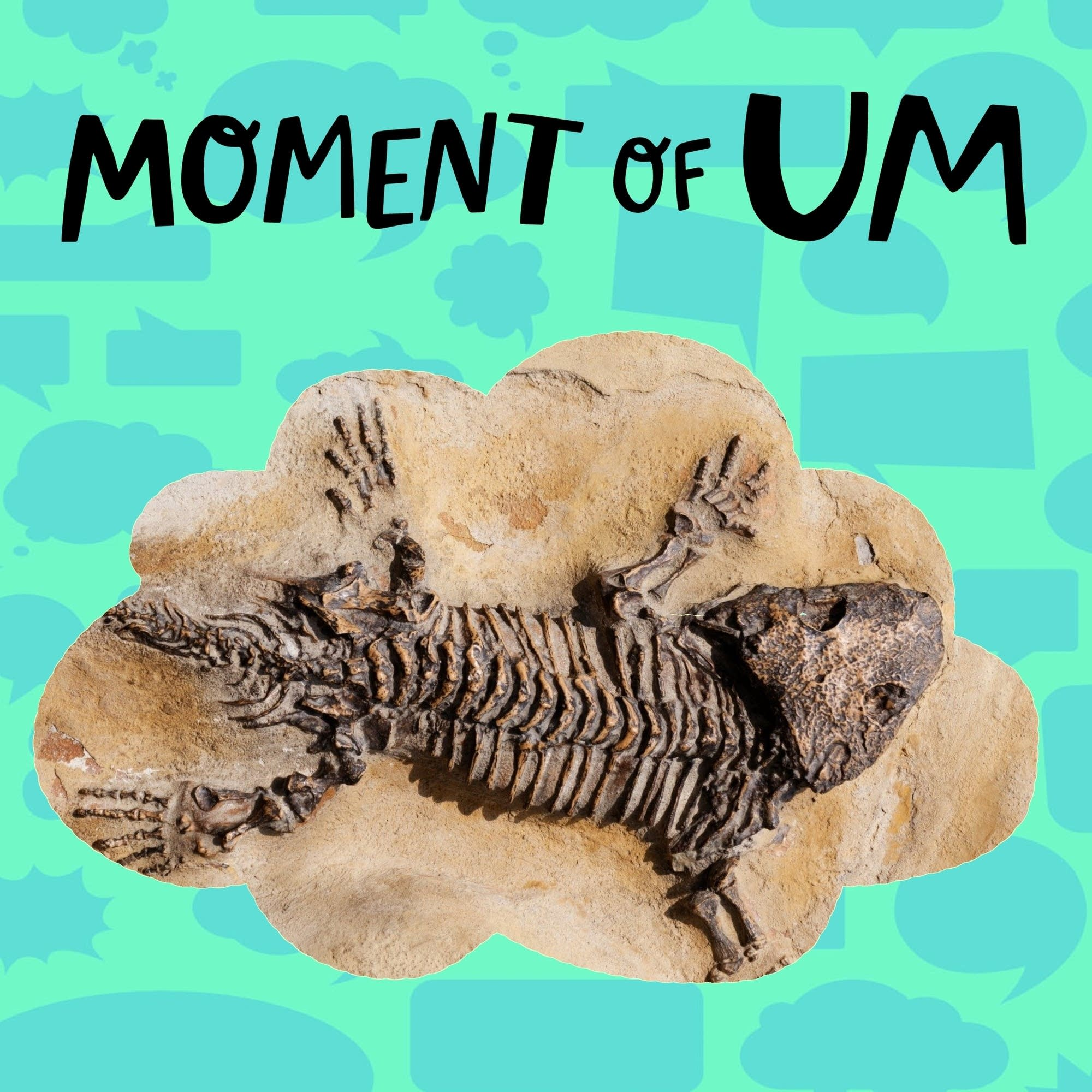 How do scientists know how old fossils are?