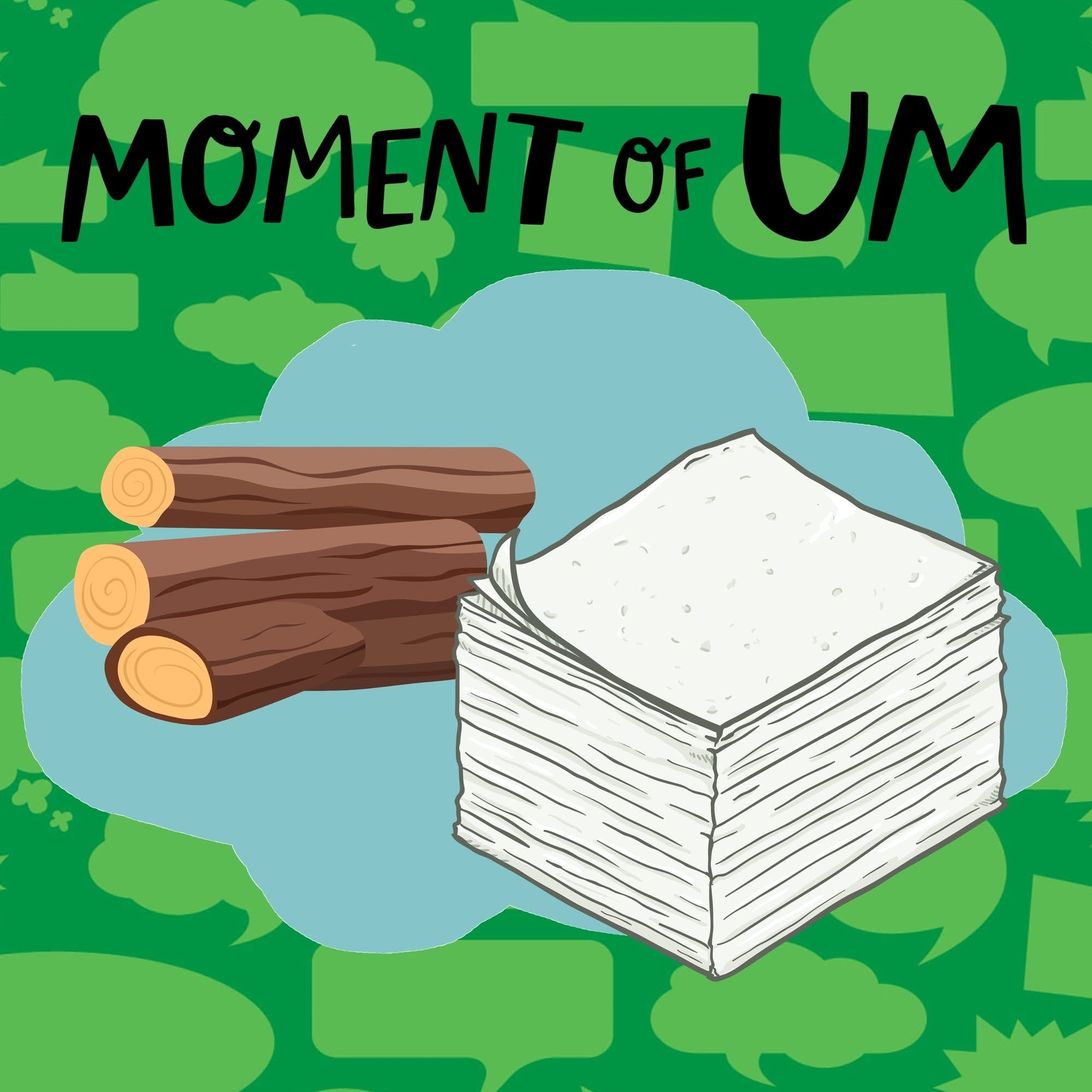 How is wood made into paper?