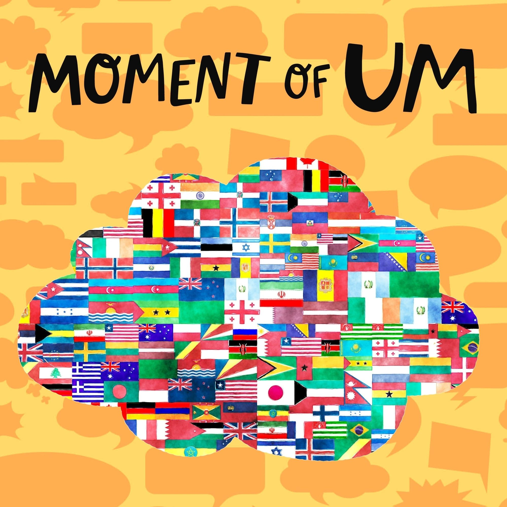 Why do different countries have different flags?