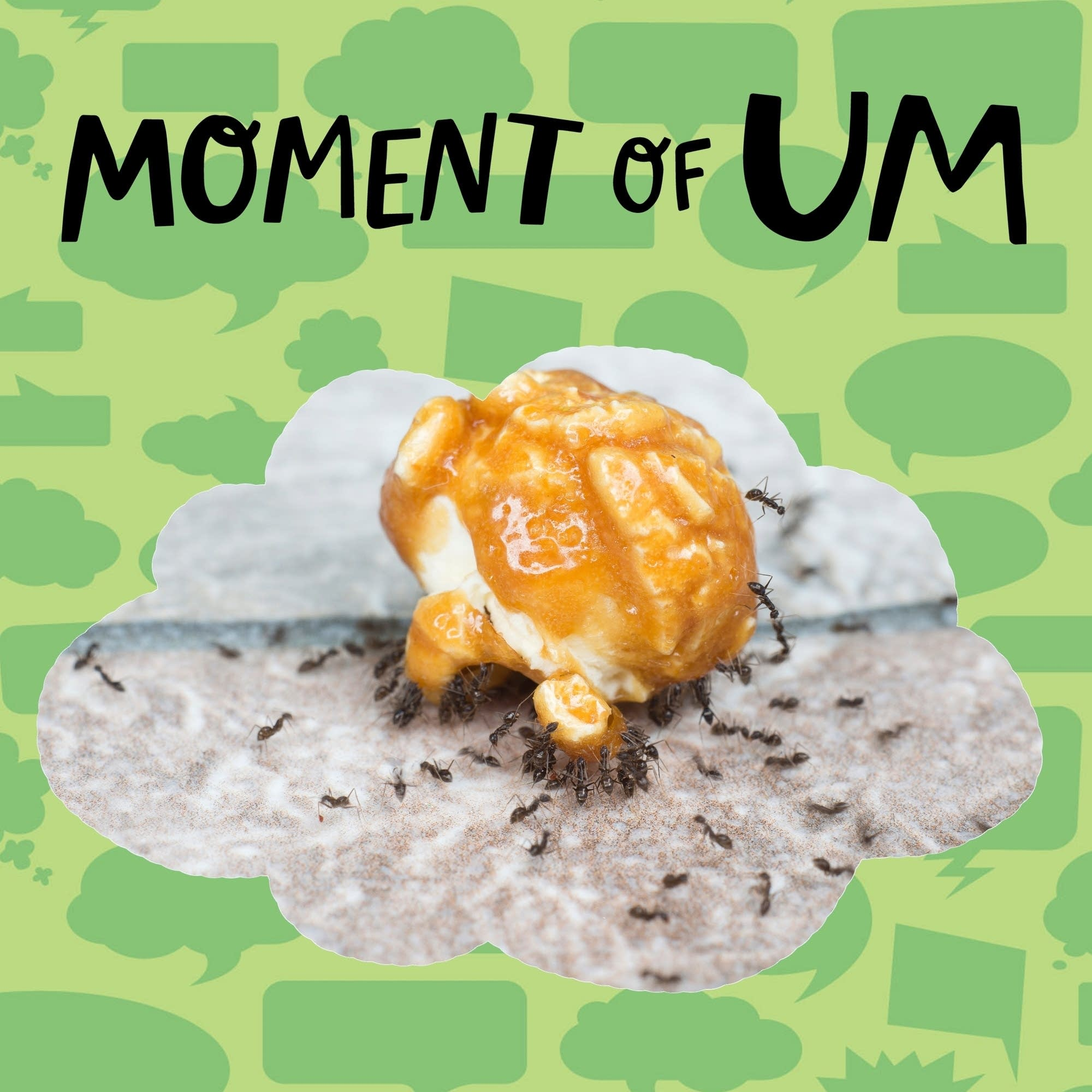 If ants like sweet things, why don't they attack beehives?