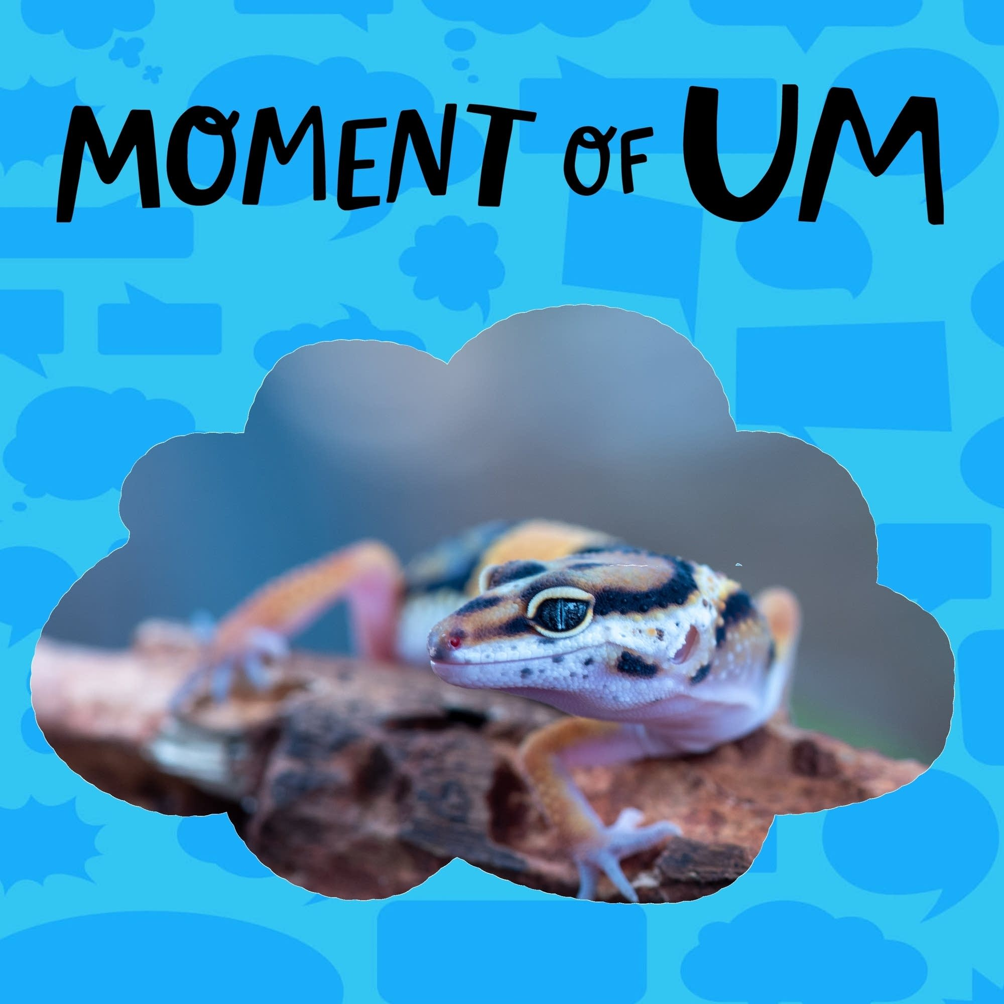 How do lizards detach their tails?