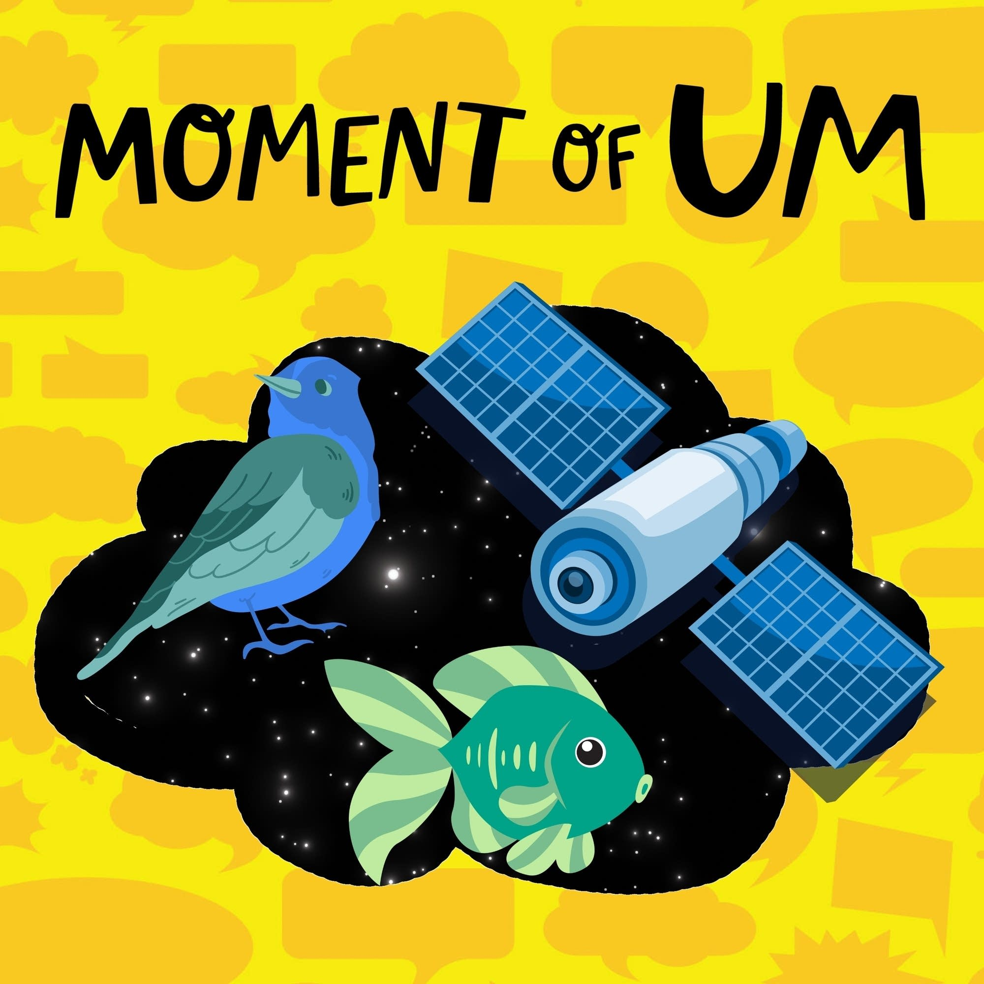 Could a bird or fish live on the International Space Station?