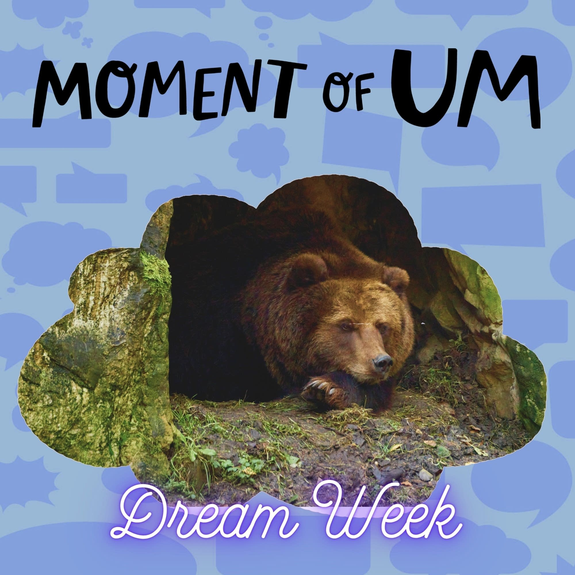 Do animals dream when they hibernate?