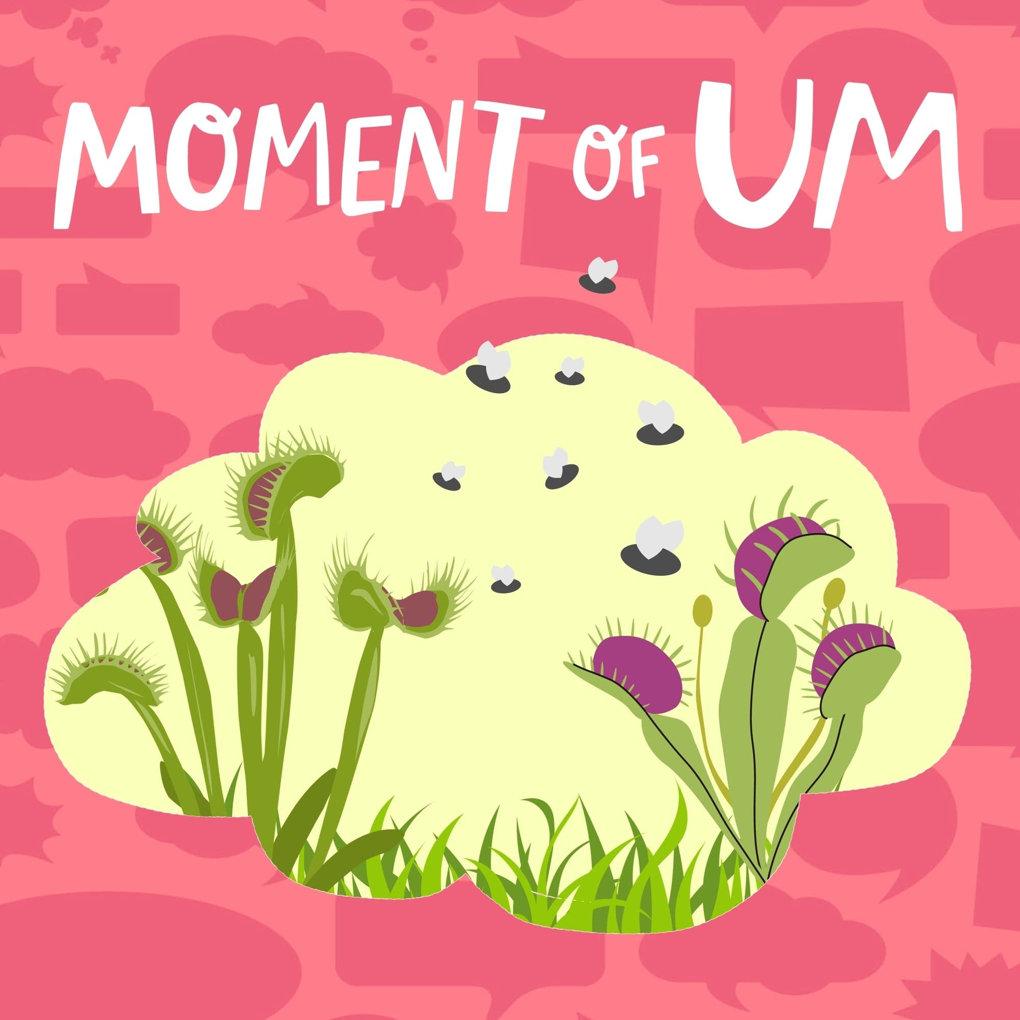 Where do the insects go when Venus flytraps eat them?