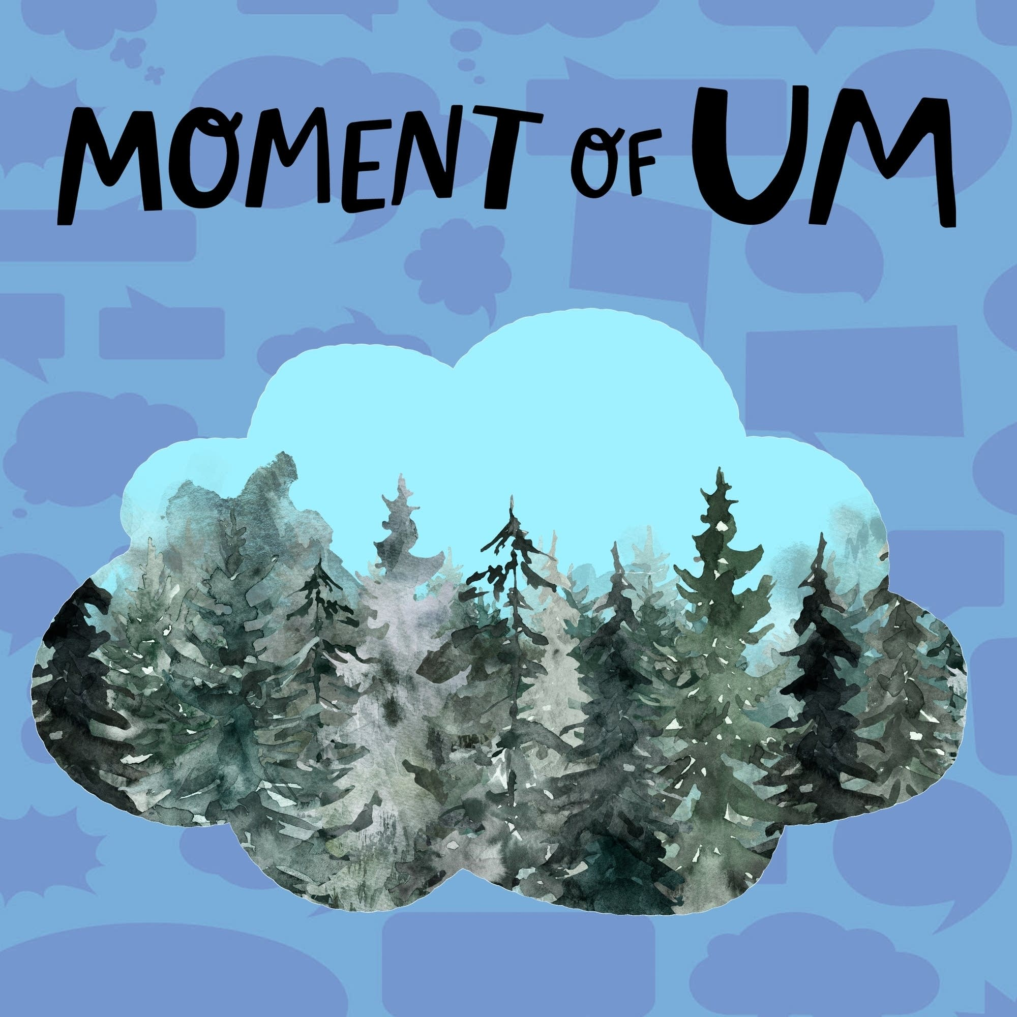 How do evergreens stay green all winter?