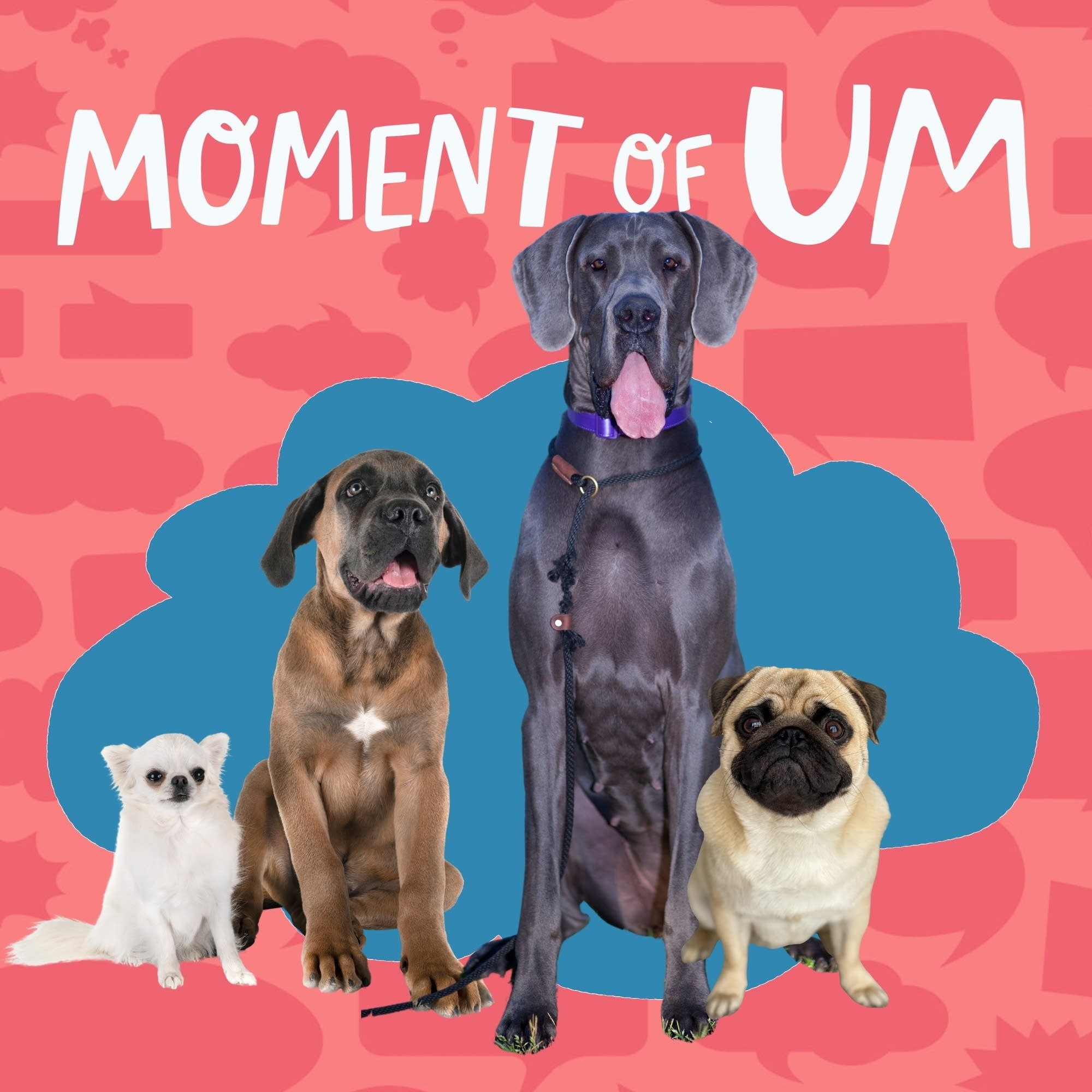 Why are some dogs so small and some so large?