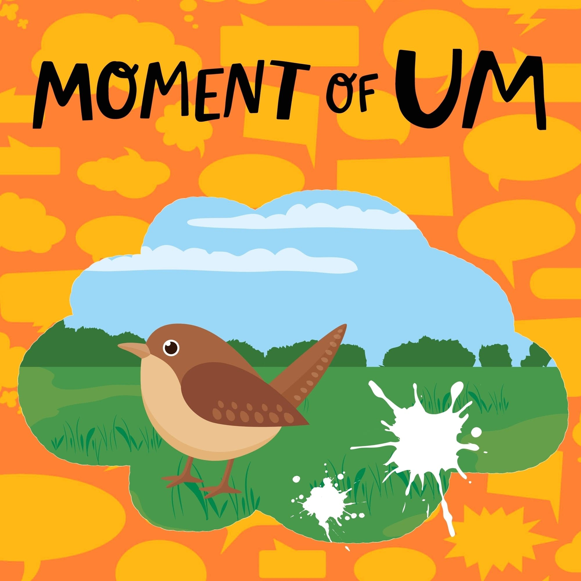 Why is bird poop white?