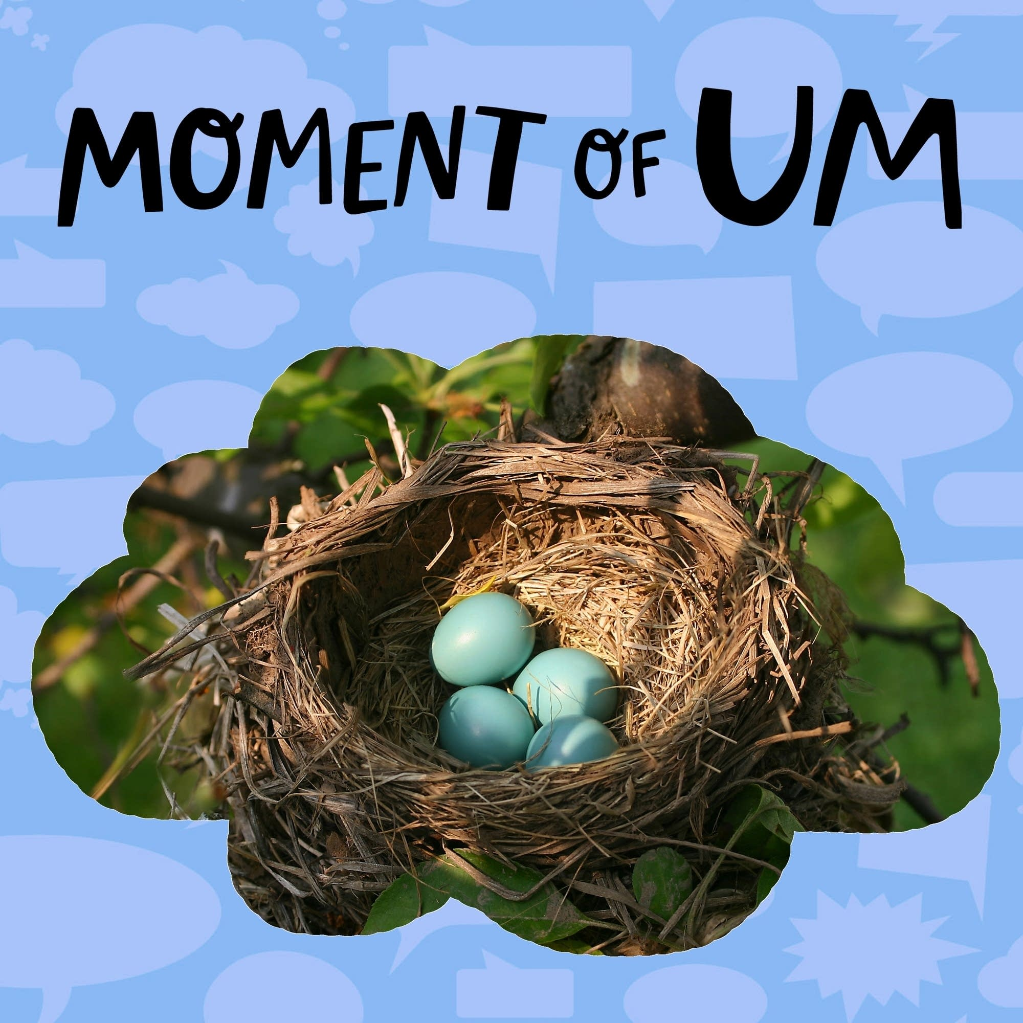 Do birds build a new nest every year?