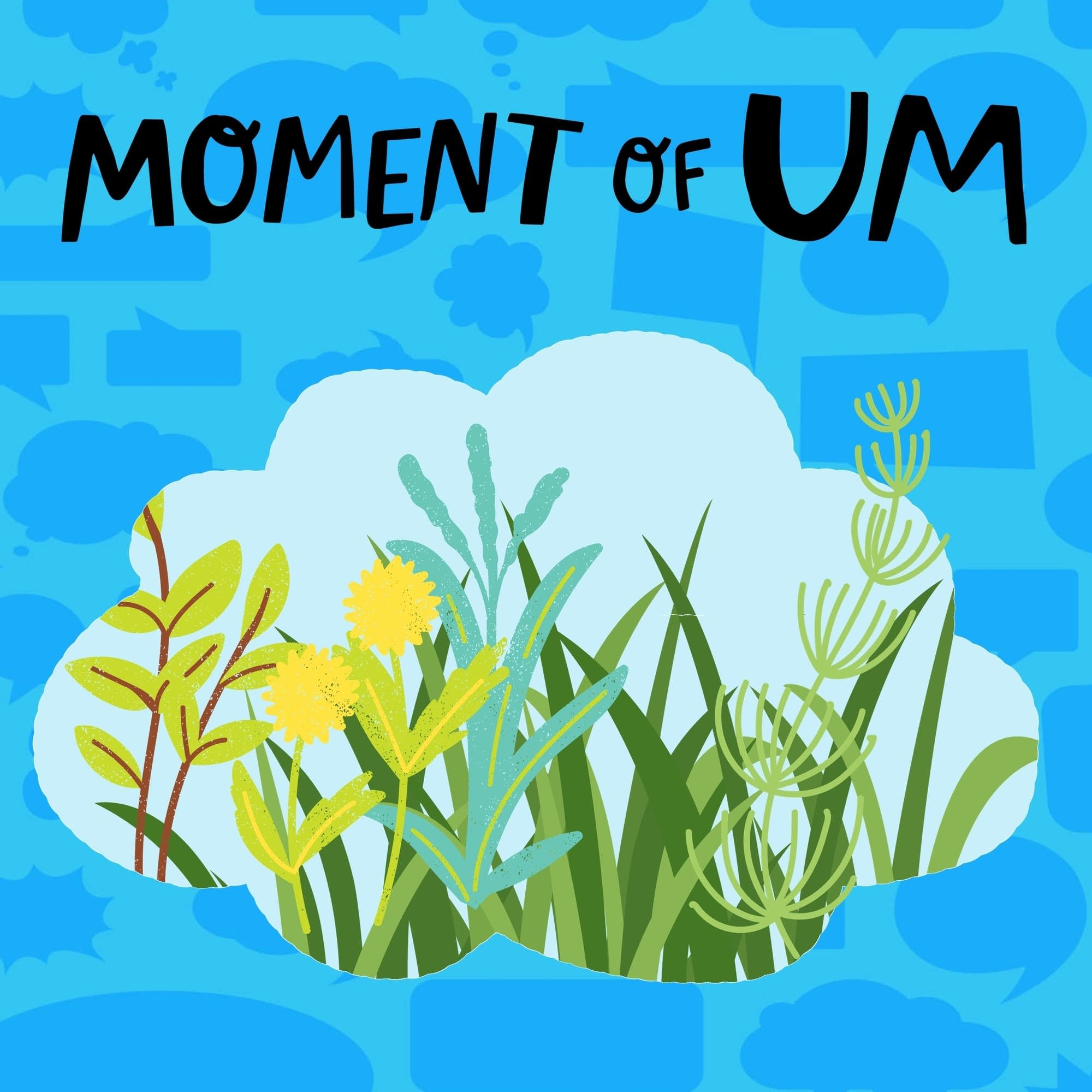 Why are some flowers called weeds?