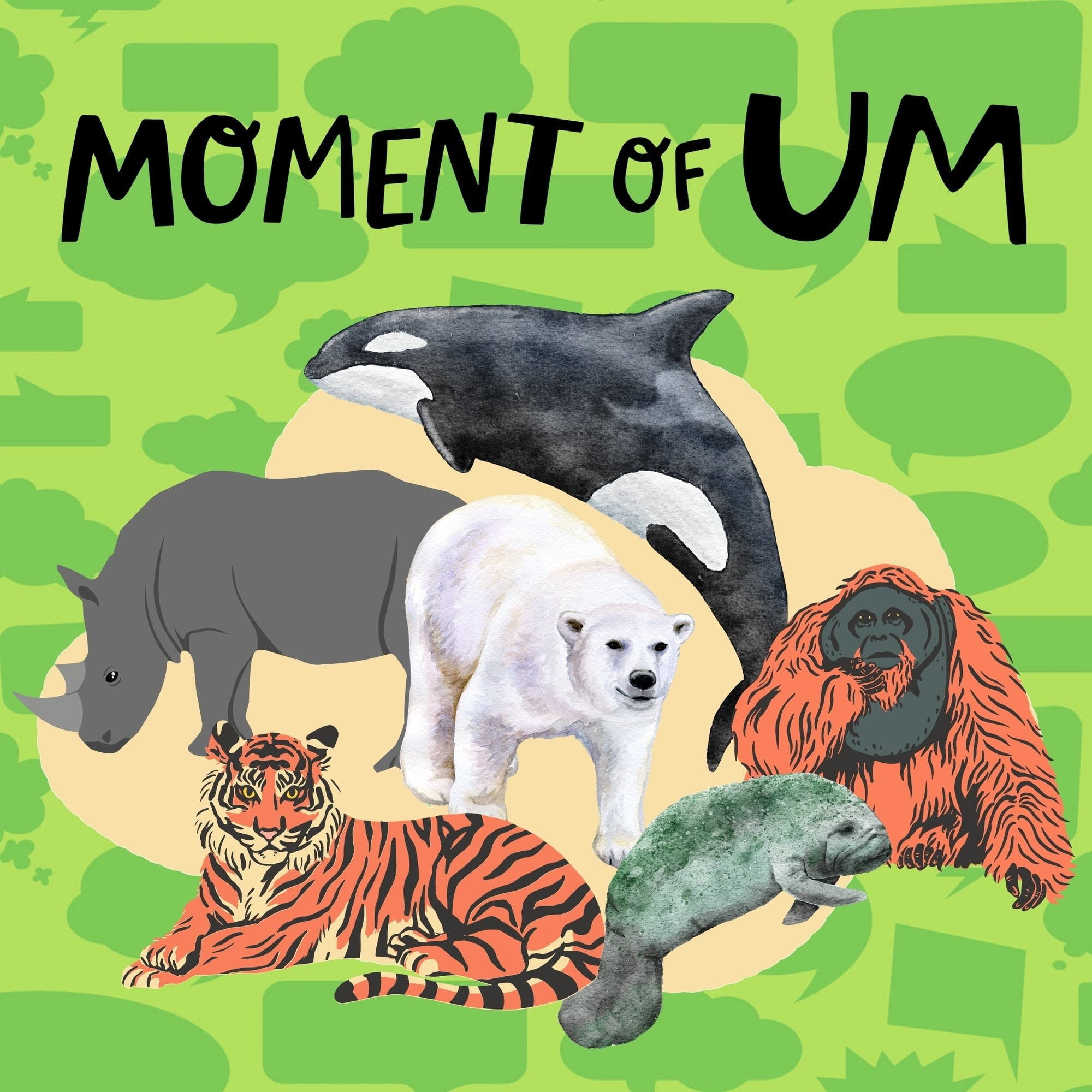 How do animals become endangered?