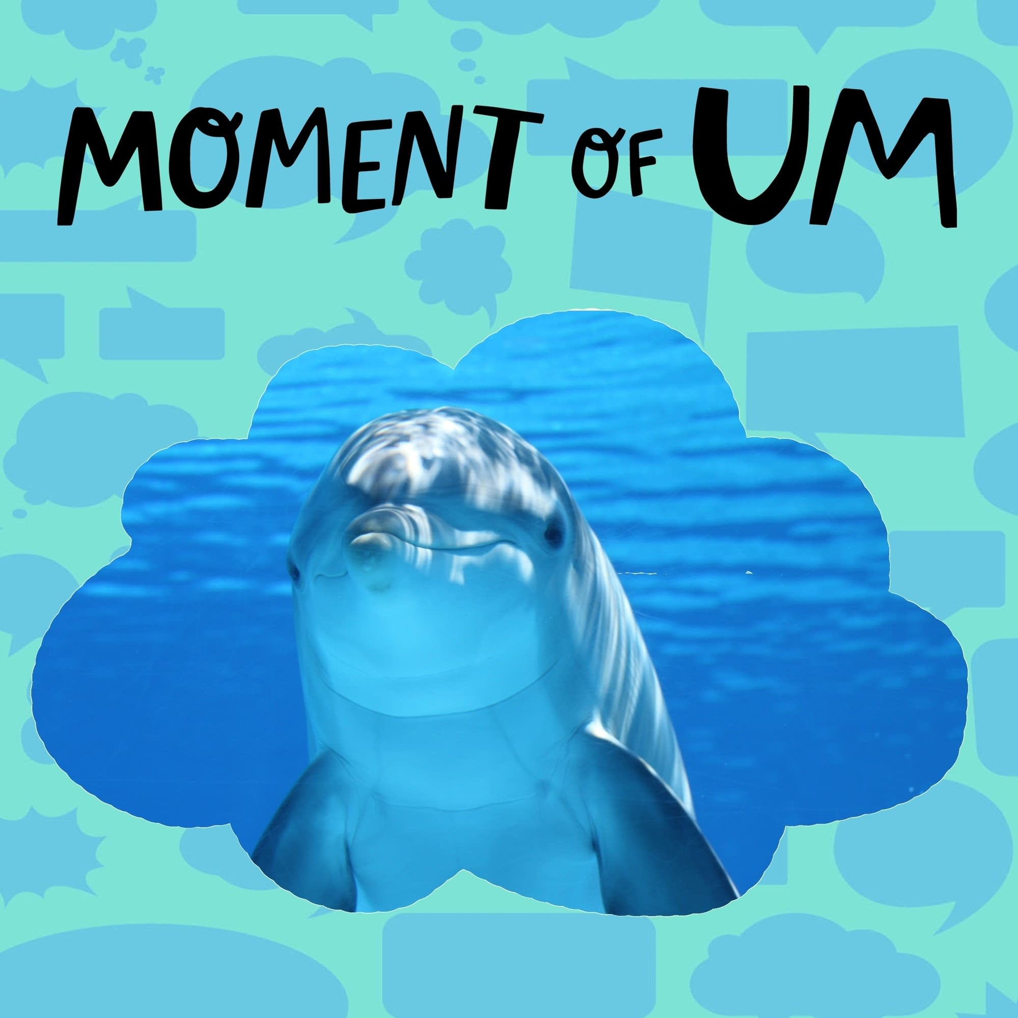 What makes dolphins so smart?