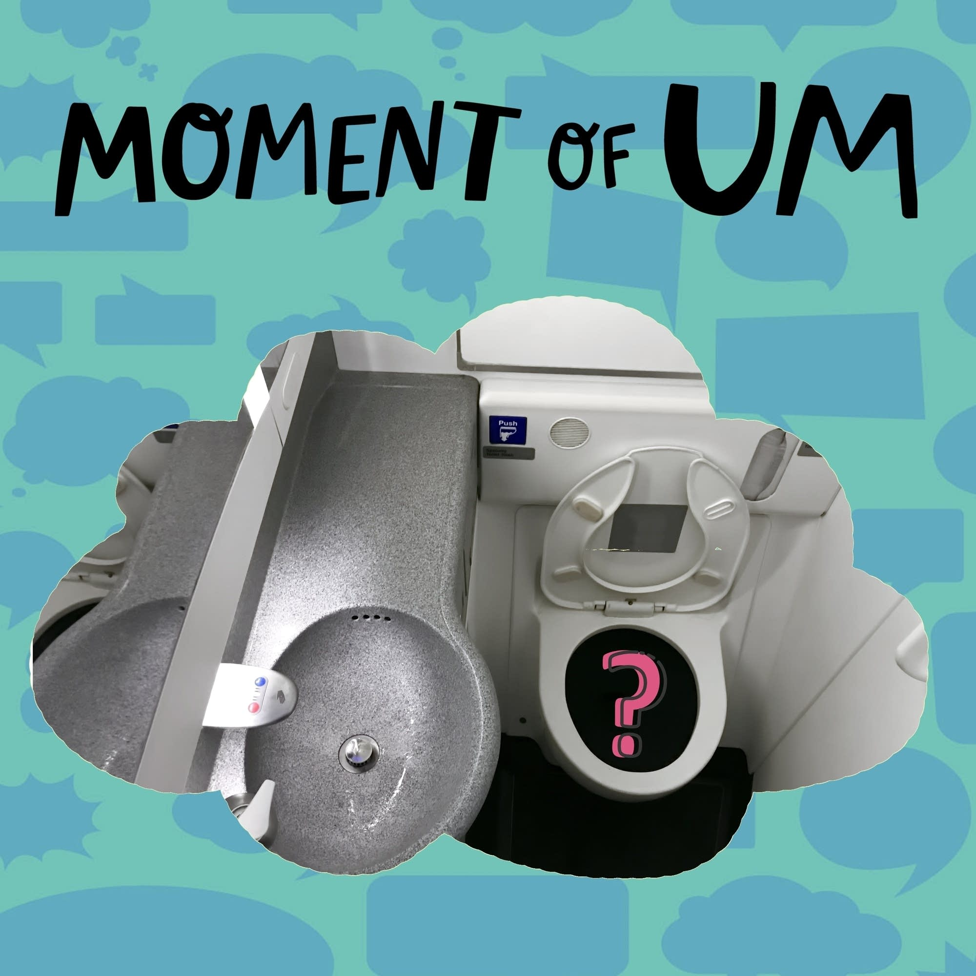 Where do poop and pee go on airplanes?