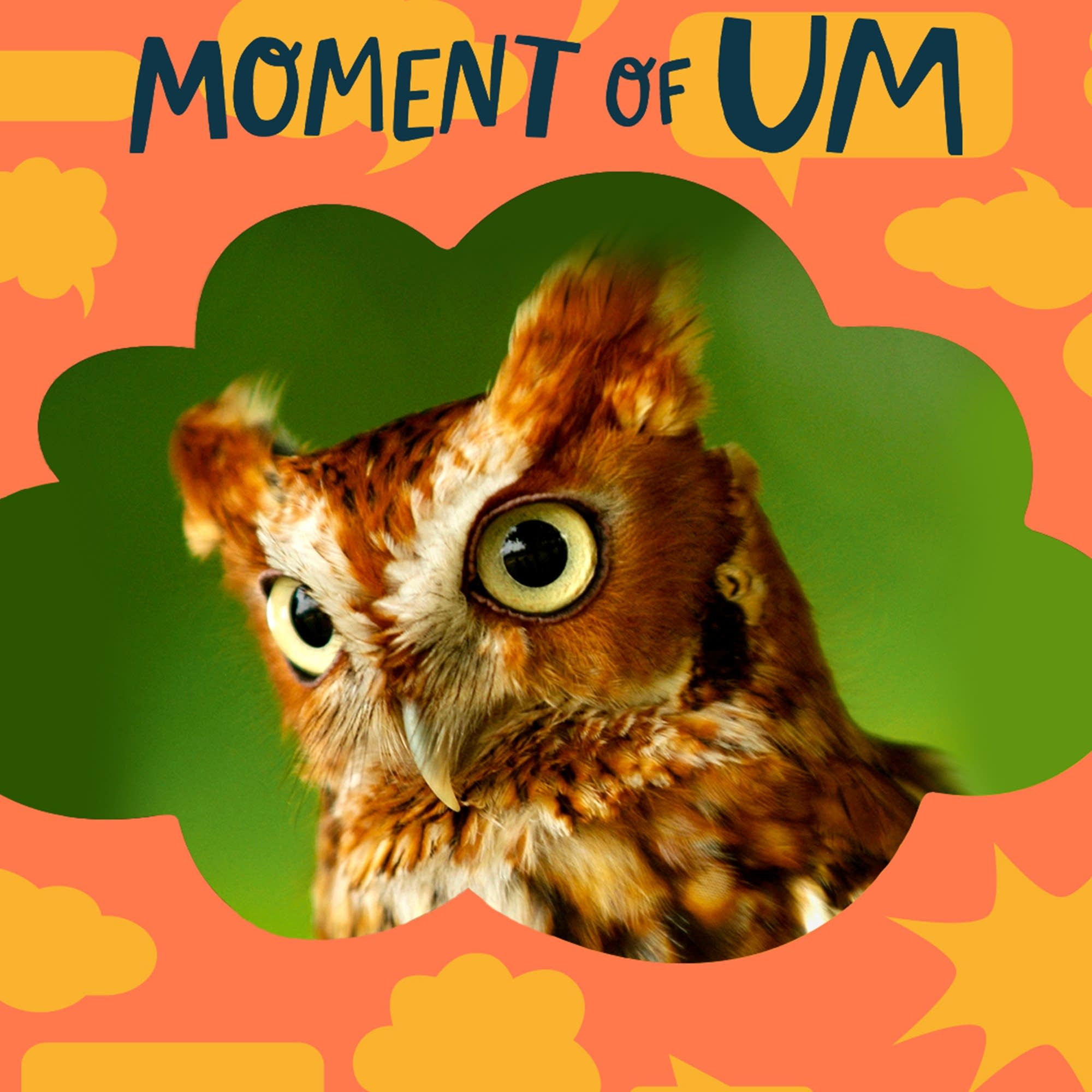 How far can an owl turn its head?