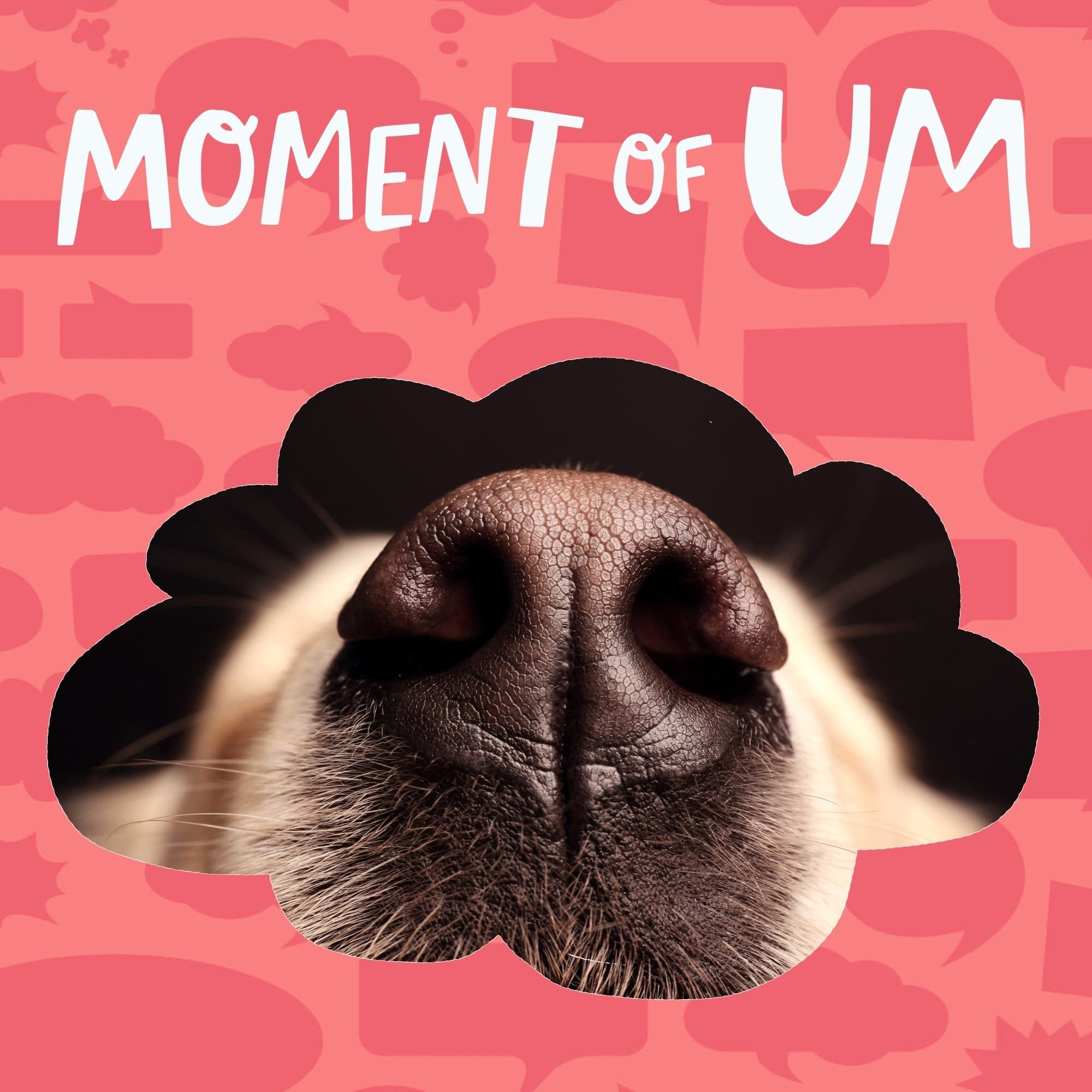 Do dogs have nose hairs?