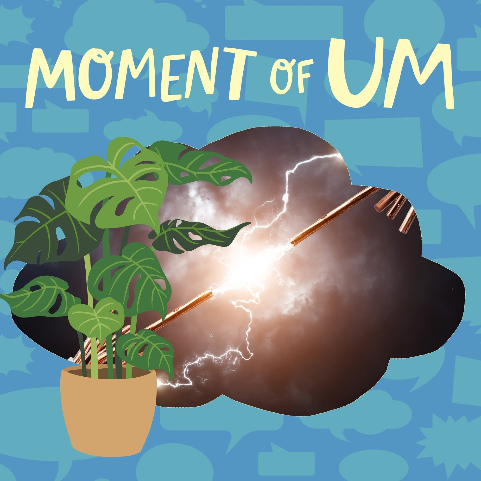 Can plants feel an electric shock?