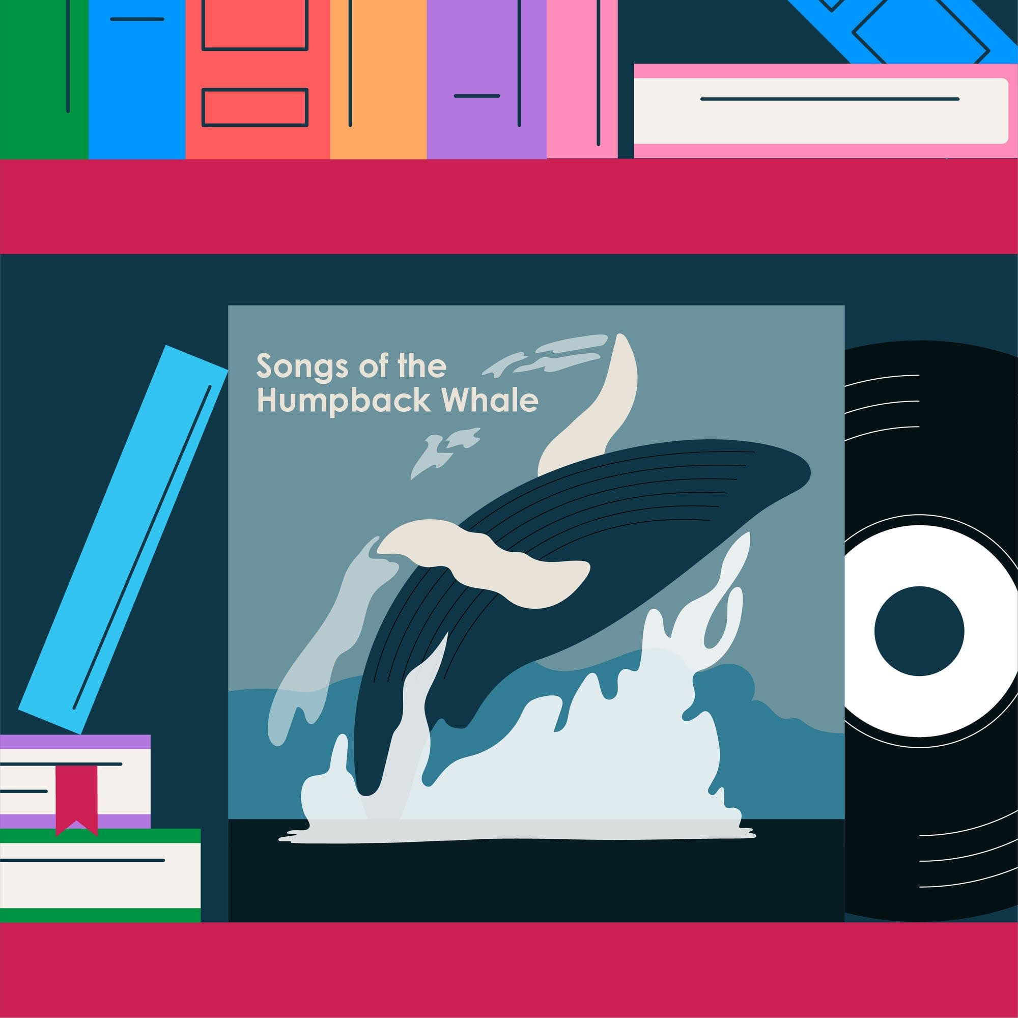 Songs of the Humpback Whale: How one record helped save the whales