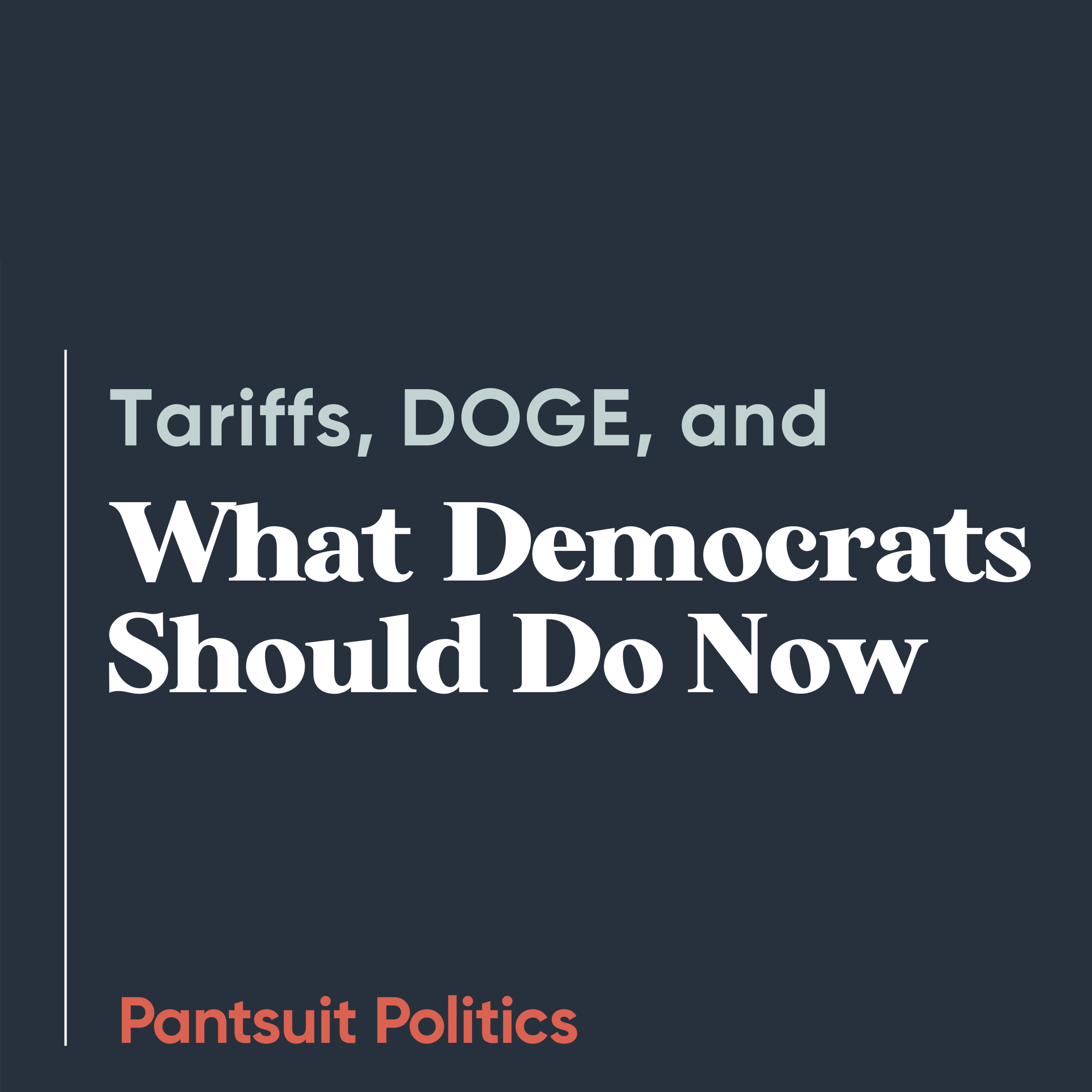 Tariffs, DOGE, and What Democrats Should Do Now