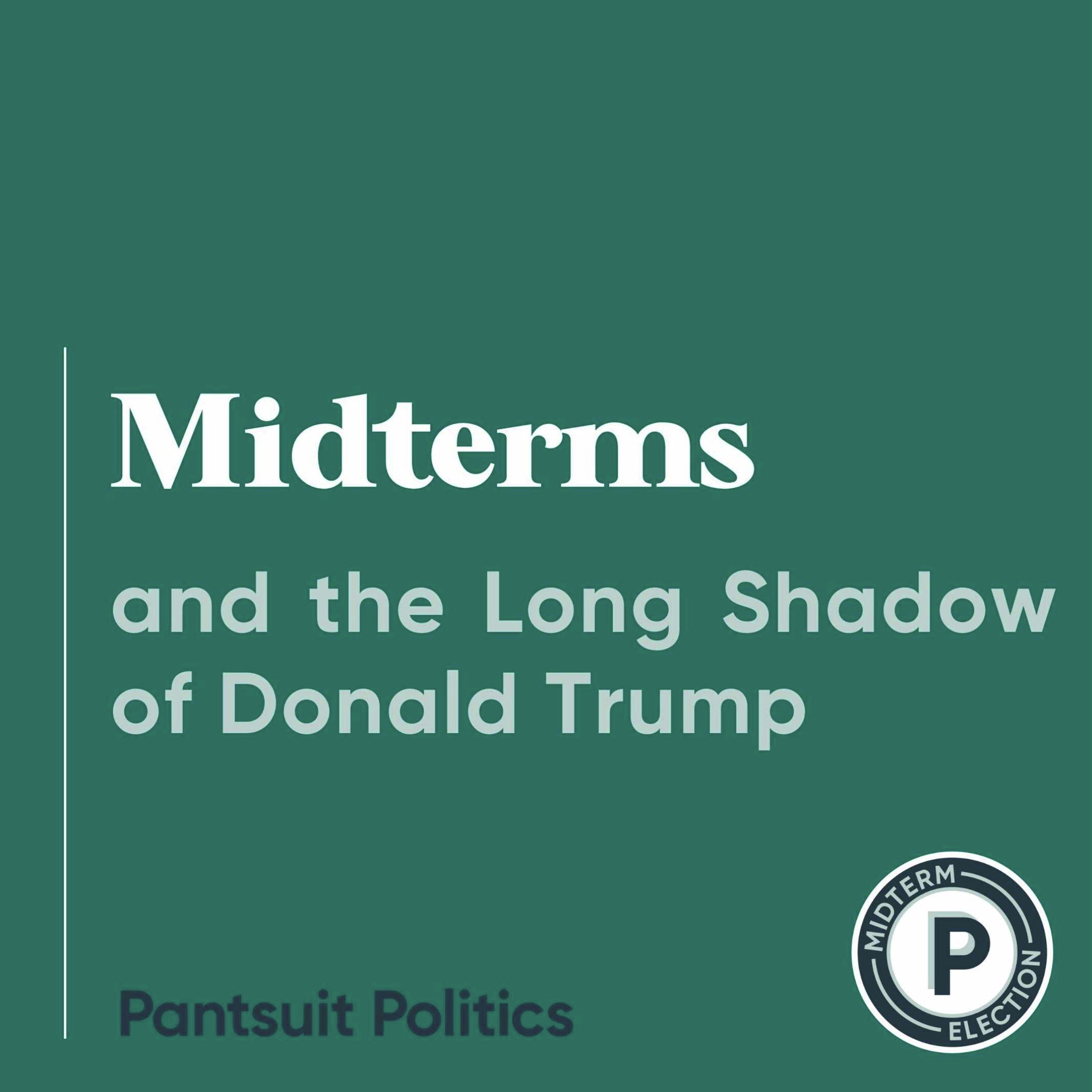 Midterms and the Long Shadow of Donald Trump