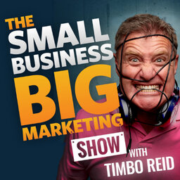 Your most asked small business marketing questions answered by Timbo in this milestone episode | #500