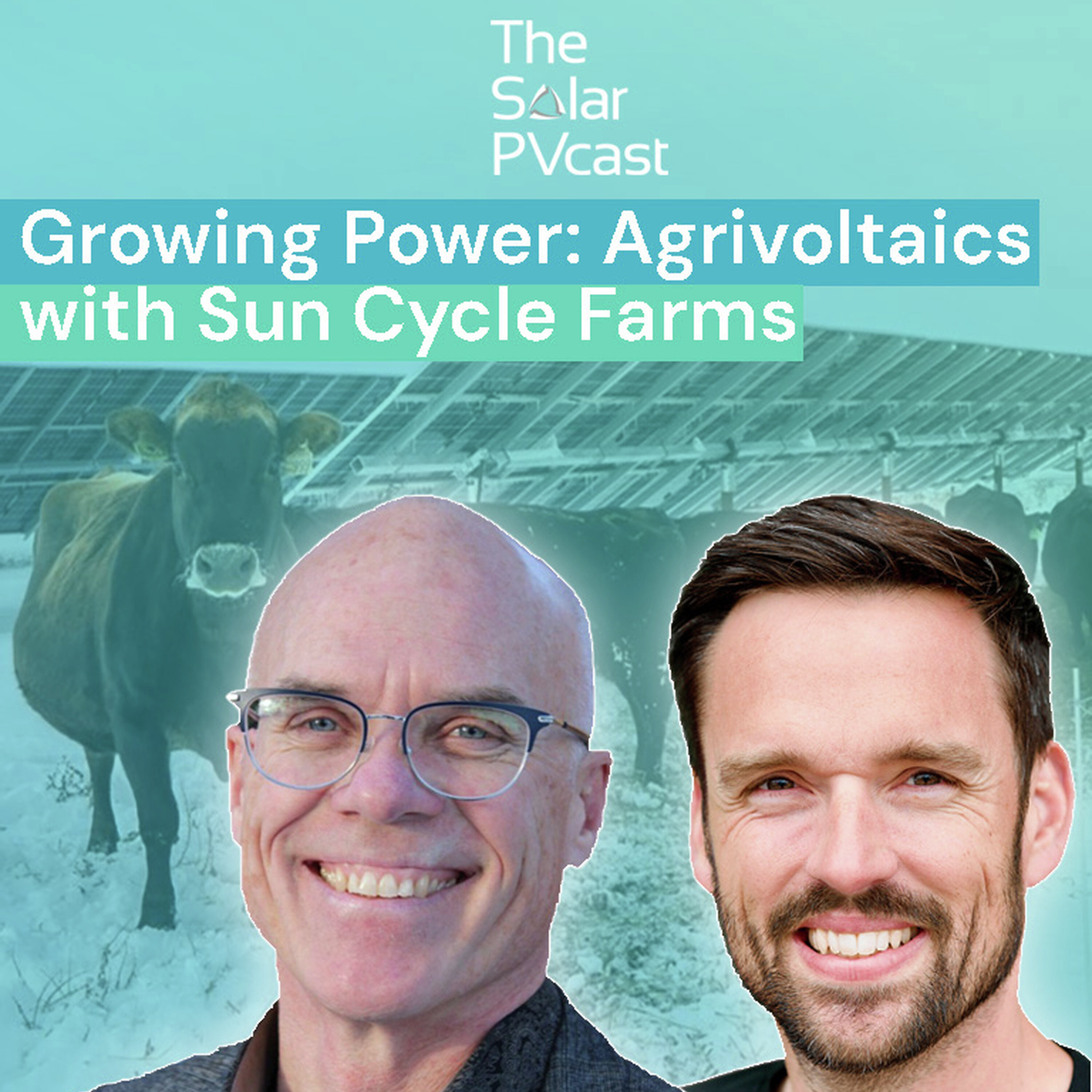 Growing Power: Agrivoltaics with Sun Cycle Farms episode artwork