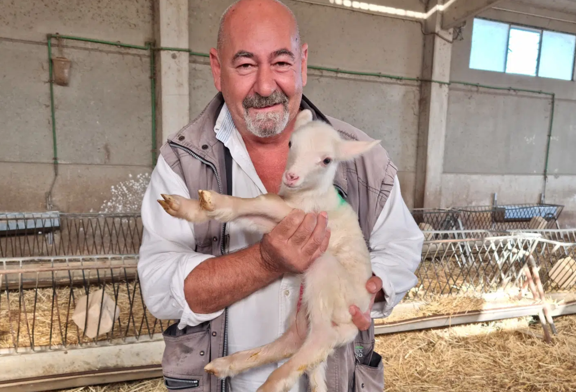 Giovanni Cannas: il pecorino delle balze volterrane incontra l'arte en plein air