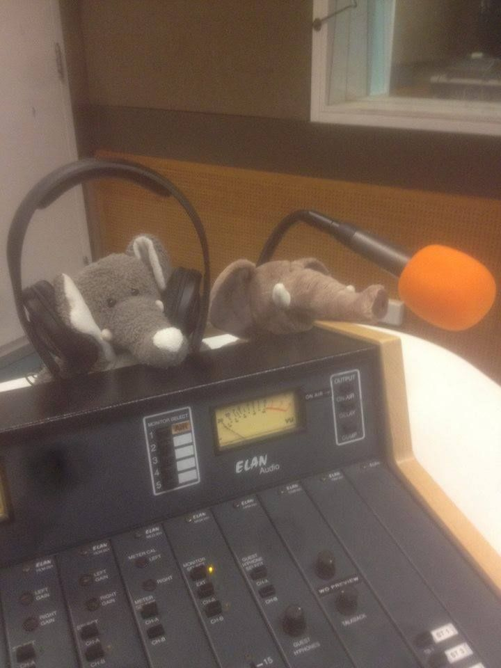 Relevant Elephant Podcast - 2026-9-15