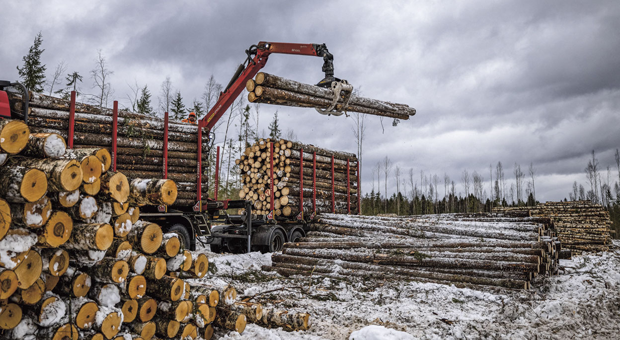 El 'boom' de la paquetería