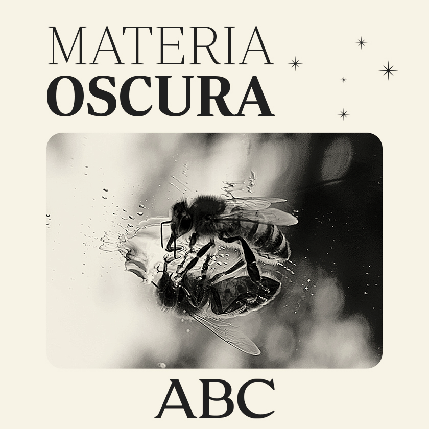 Las abejas aprueban en matemáticas