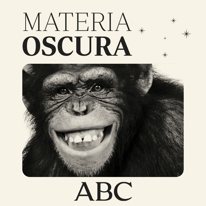 Sorpresa: los humanos también imitan a los monos