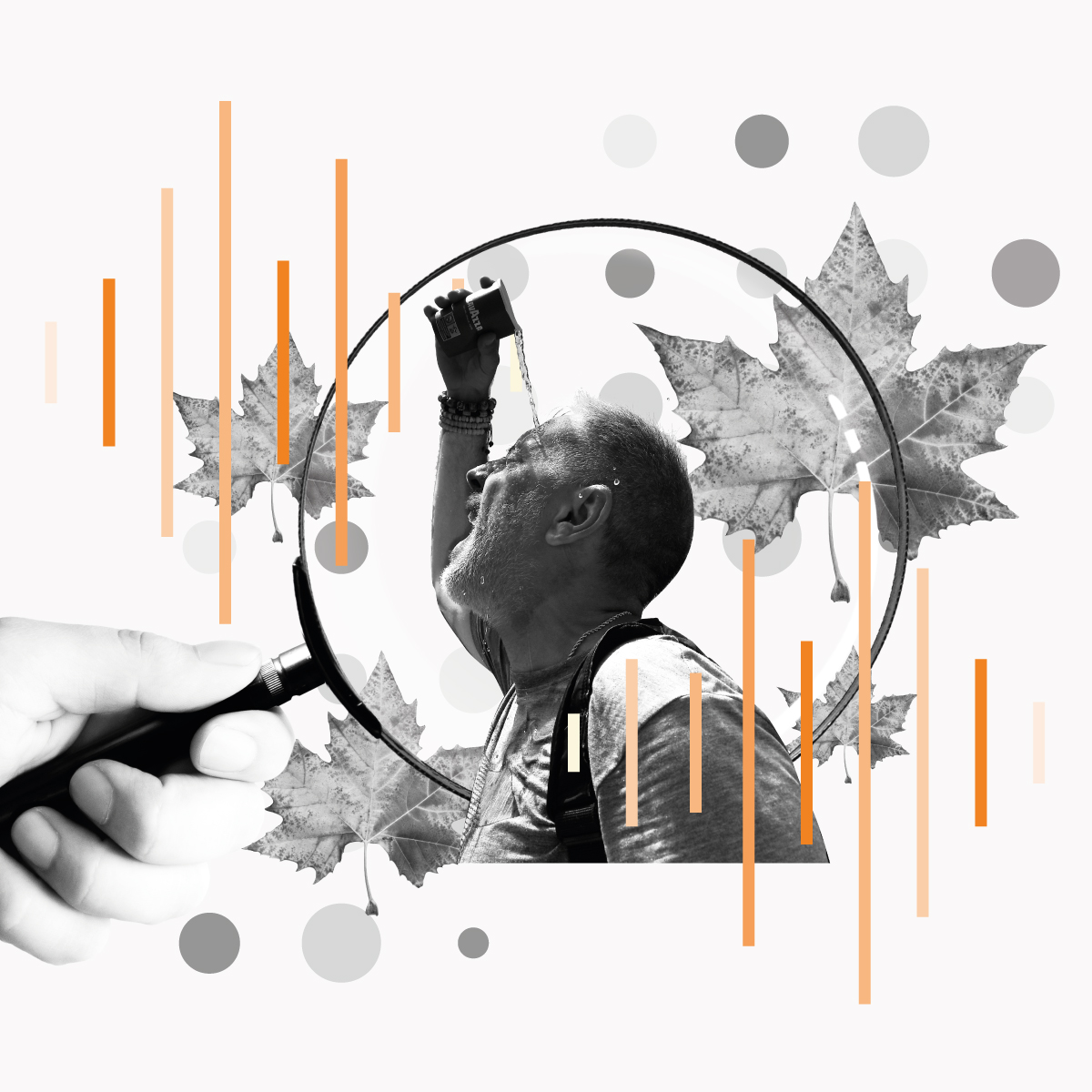 El otoño más raro, el año más caliente, el futuro más inquietante episode artwork