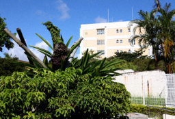 宮城　母校に帰る  1/29（by佐藤敬一部長・宮城裕也記者）