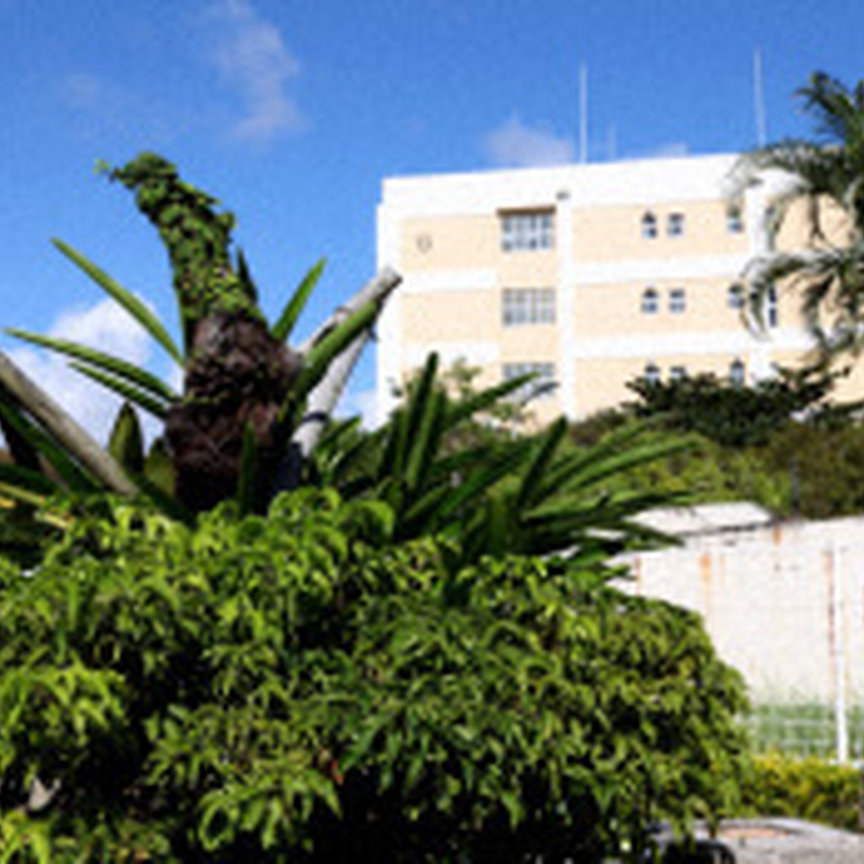 宮城 母校に帰る 1/29(by佐藤敬一部長・宮城裕也記者) 宮城 母校に帰る 1/29(by佐藤敬一部長・宮城裕也記者)