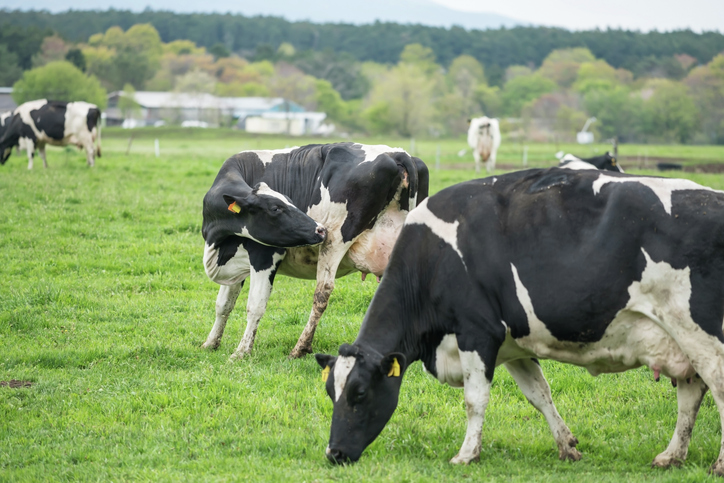 「6次化産業」と「ポッドキャスト」に挑戦中！船方総合農場の坂本さん親子が出演　12/19（by三沢編集長補佐）
