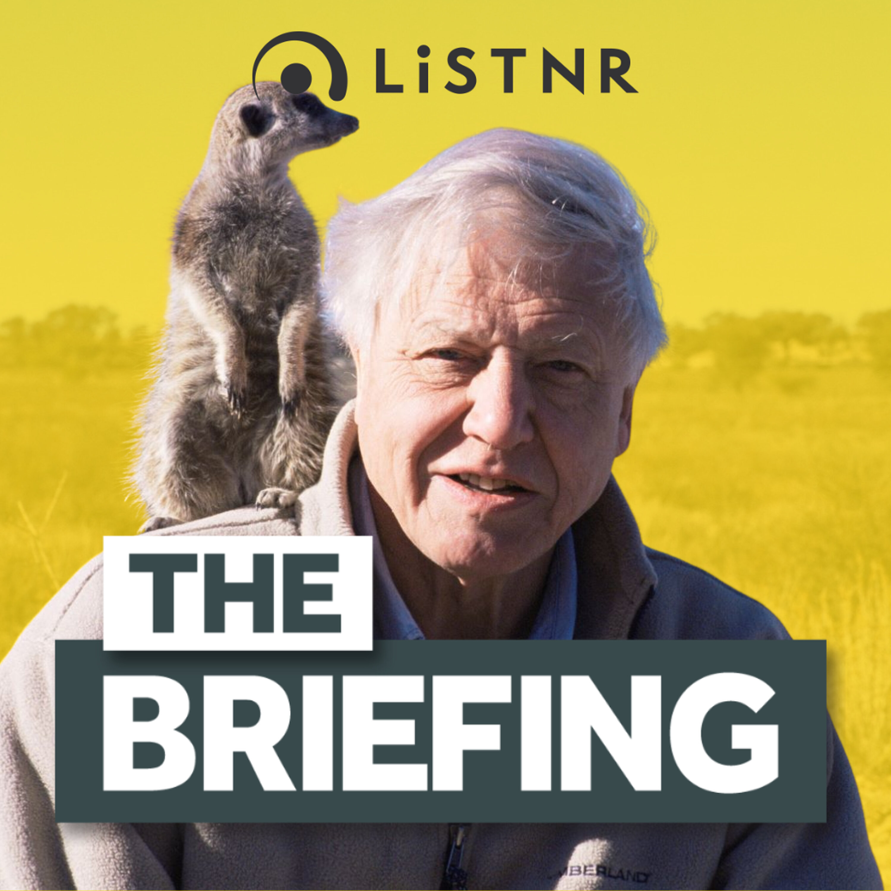 Behind the scenes with David Attenborough + ‘ISIS brides’ arrested
