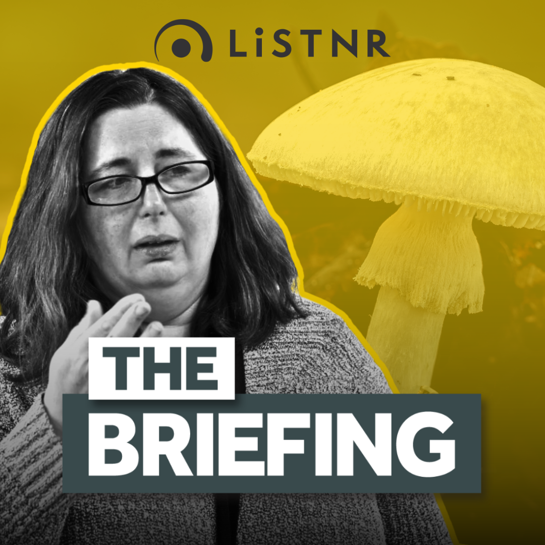 BREAKING: New poisoning claims vs mushroom murderer Erin Patterson